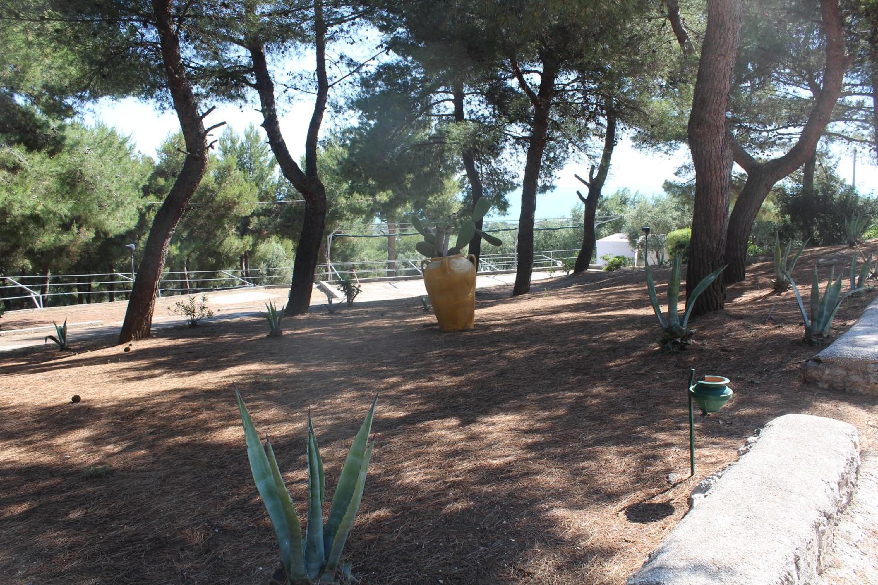 Centro Vacanze Piccolo Friuli, Vieste, photo 2
