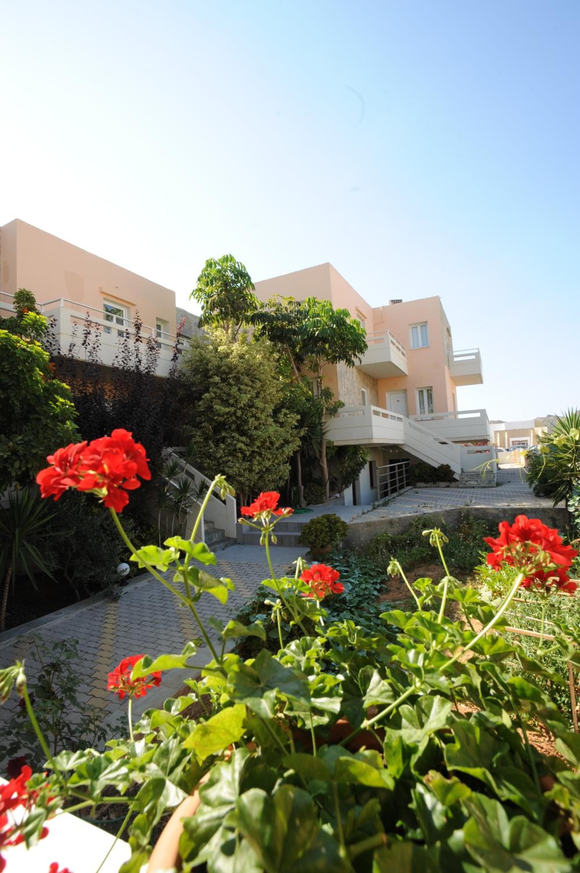 Georgina, Agia Marina Nea Kydonias