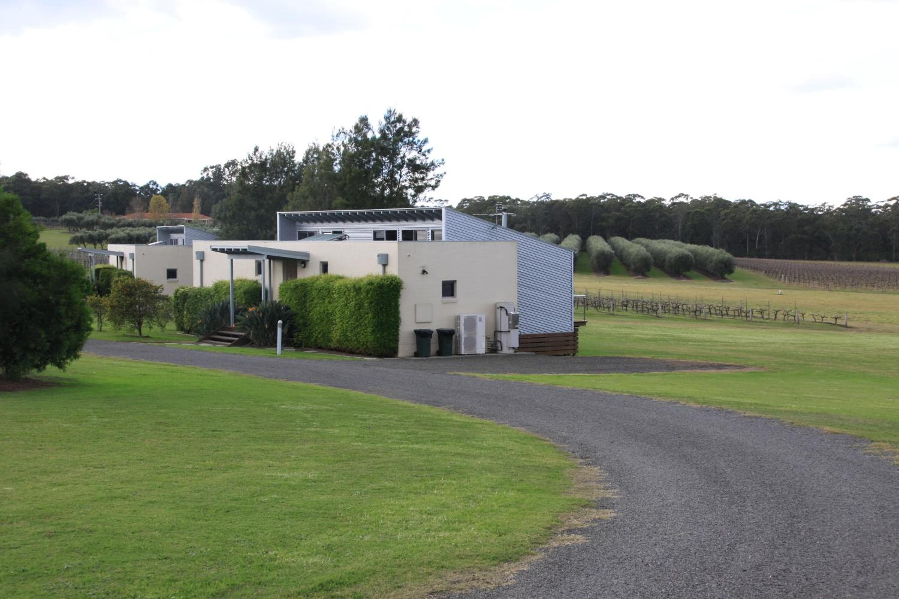 Adina Vineyard, Lovedale