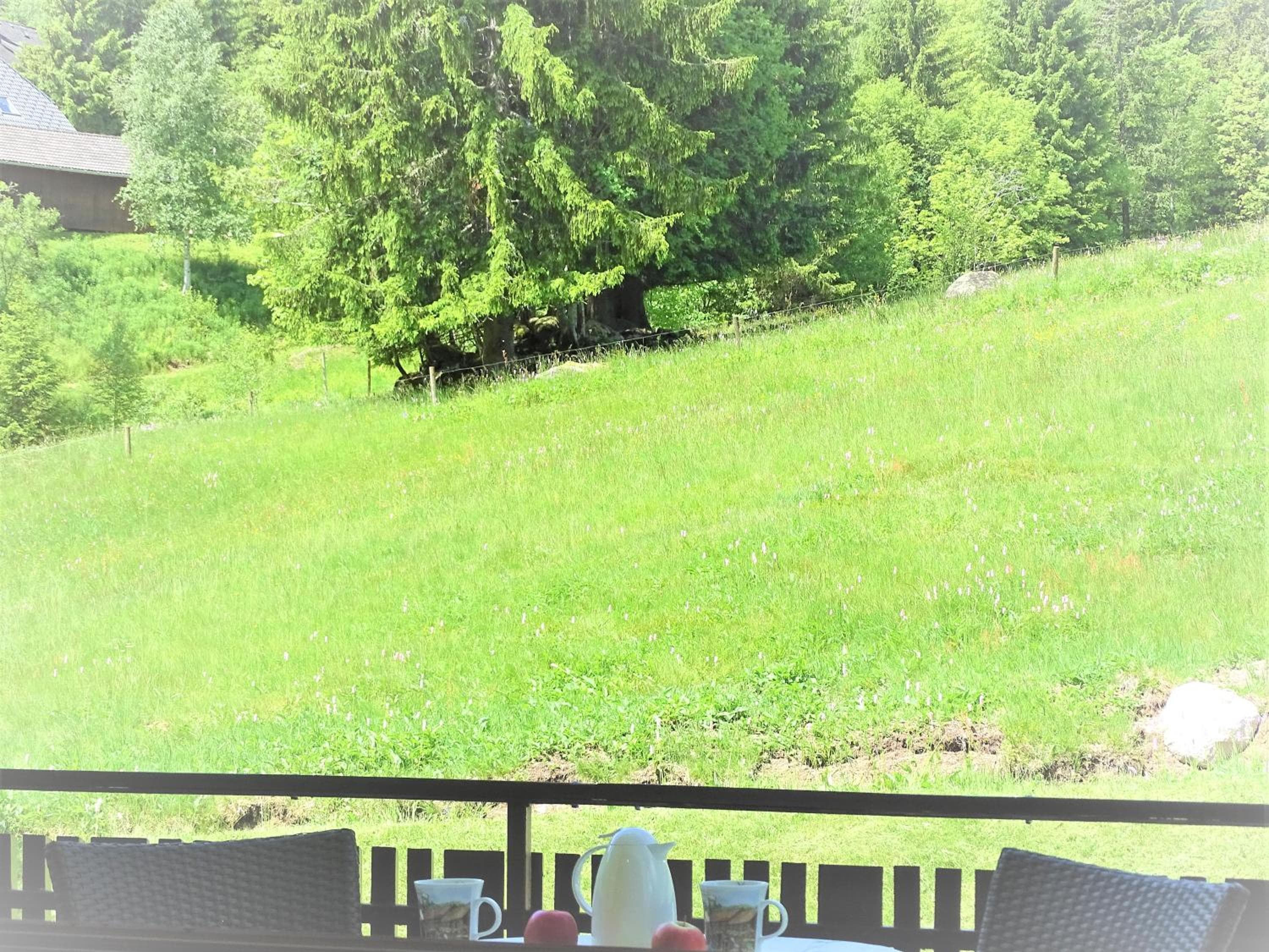 Schwarzwald-Hotel Kraeutle, Feldberg, photo 4