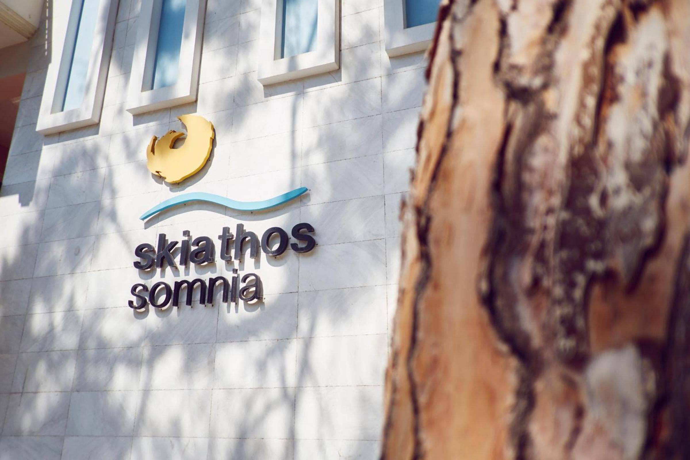 Skiathos Somnia, Skiathos Town, photo 2