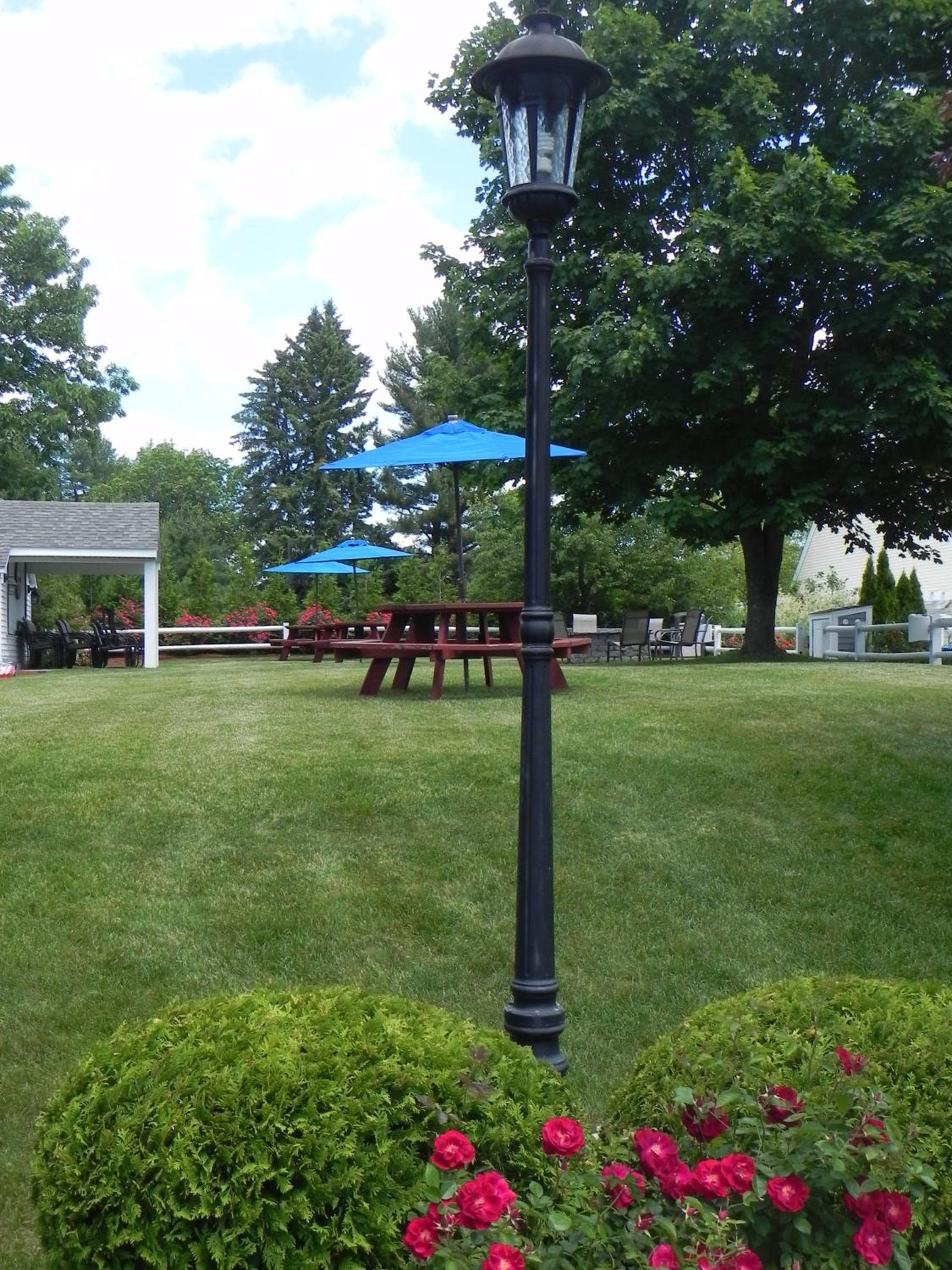 Elmwood Resort Hotel, Wells, photo 3