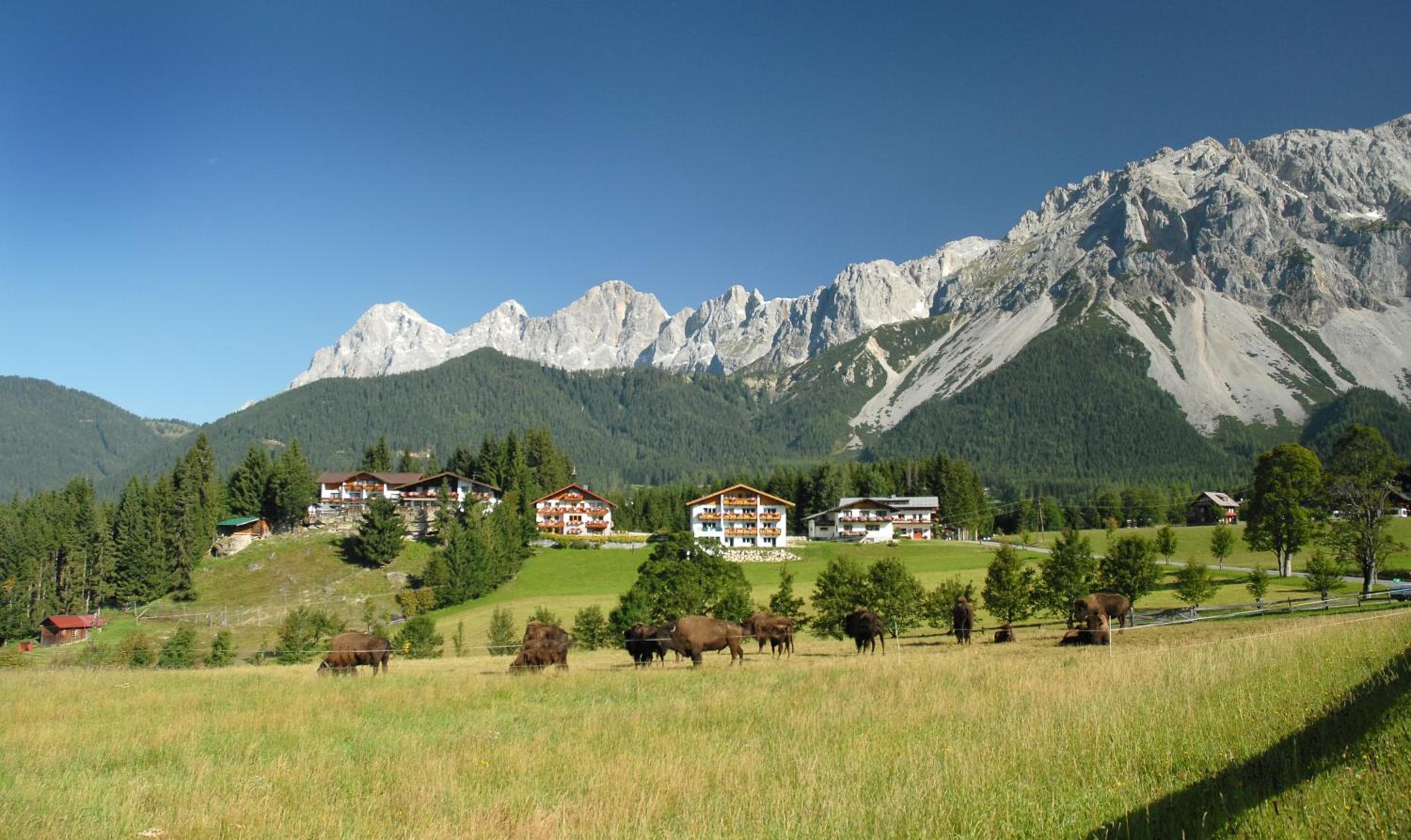 Aparthotel Sunrise, Ramsau am Dachstein, photo 4