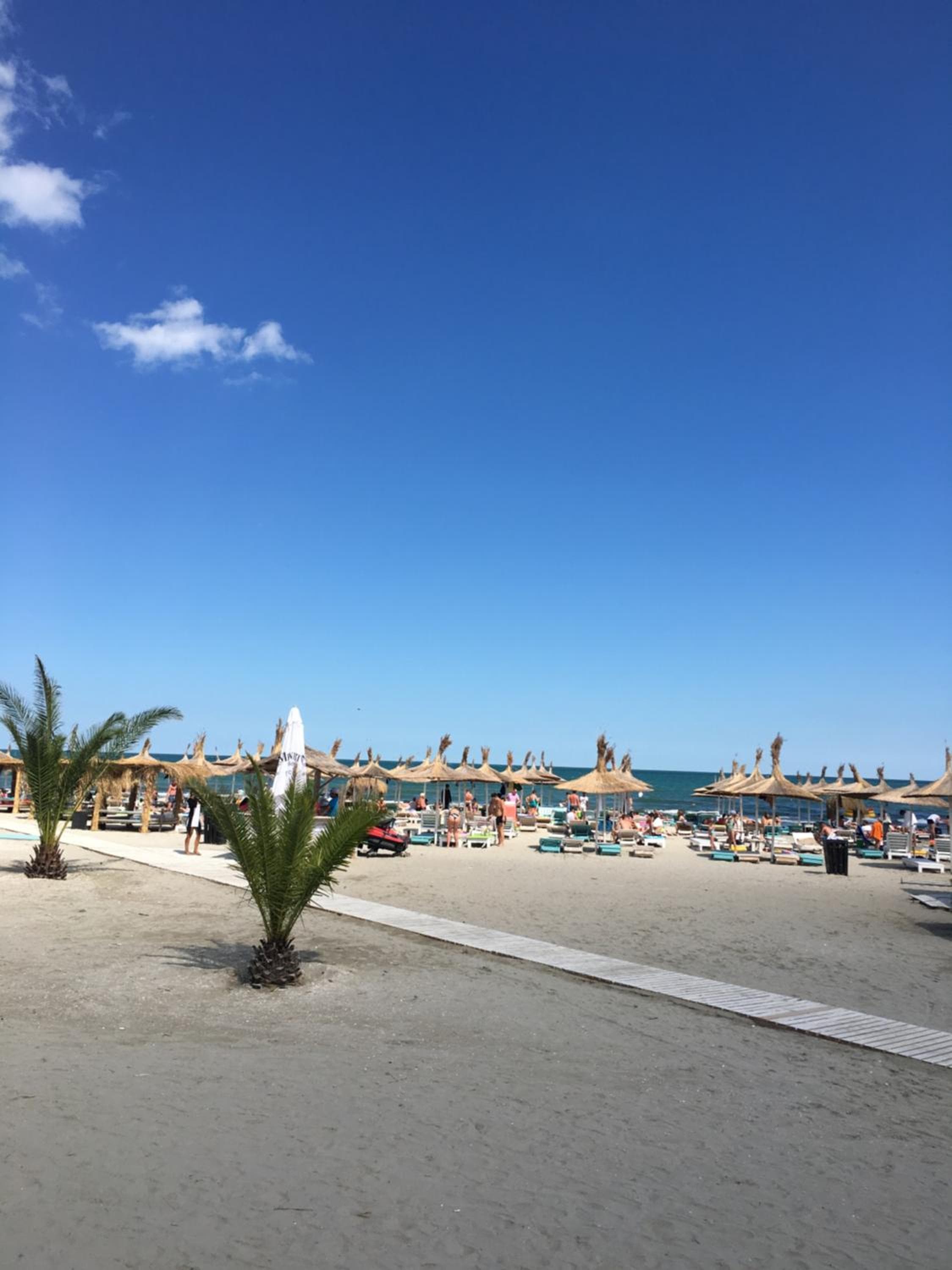 Sorriso Mamaia Nord, Mamaia Nord, photo 2