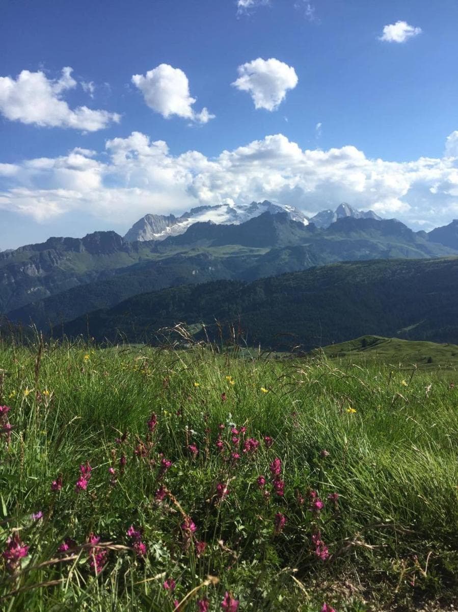 Ciasa Fedo, San Cassiano, photo 5