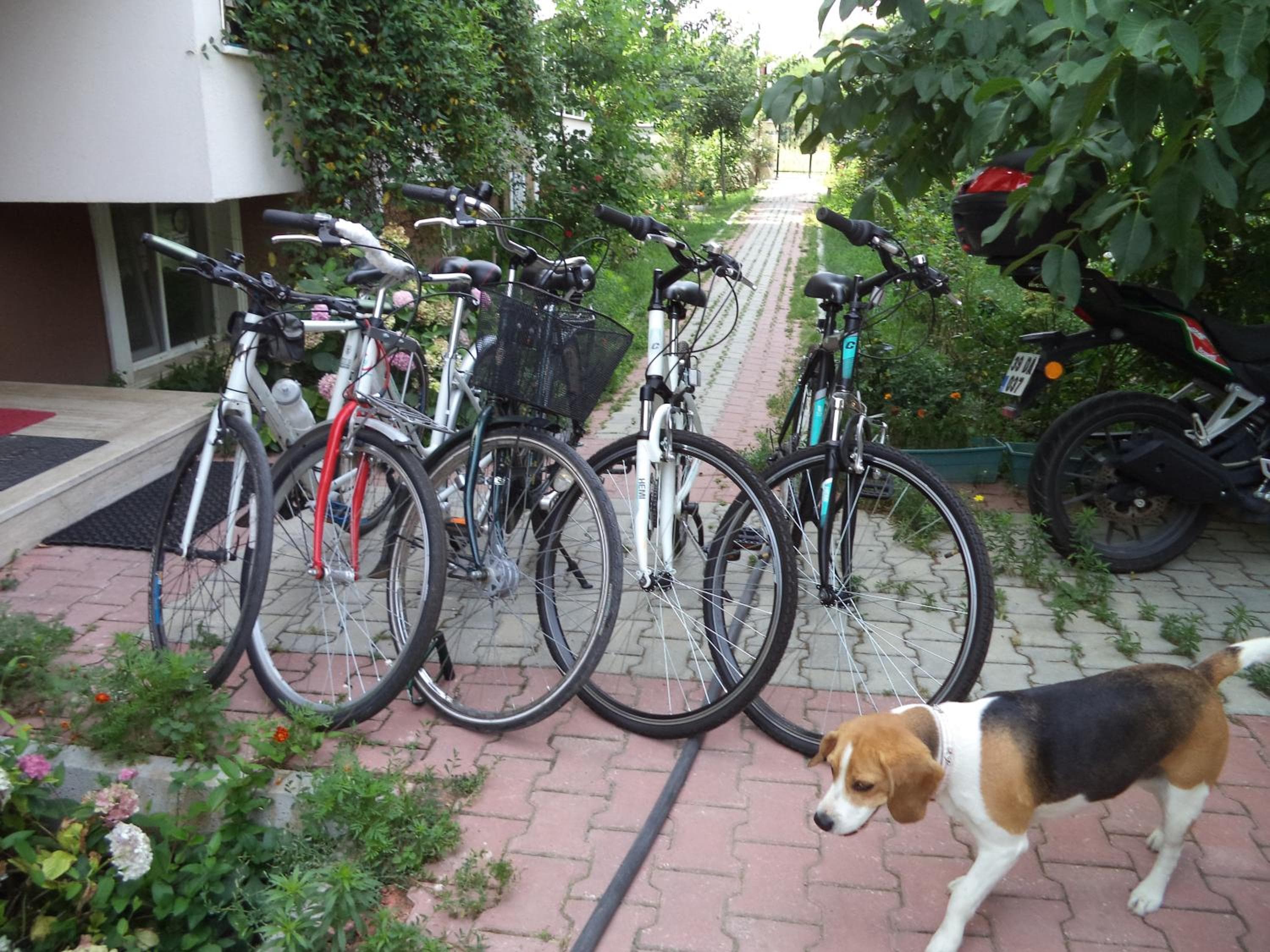 Karaagac Green Edirne, Edirne, photo 2