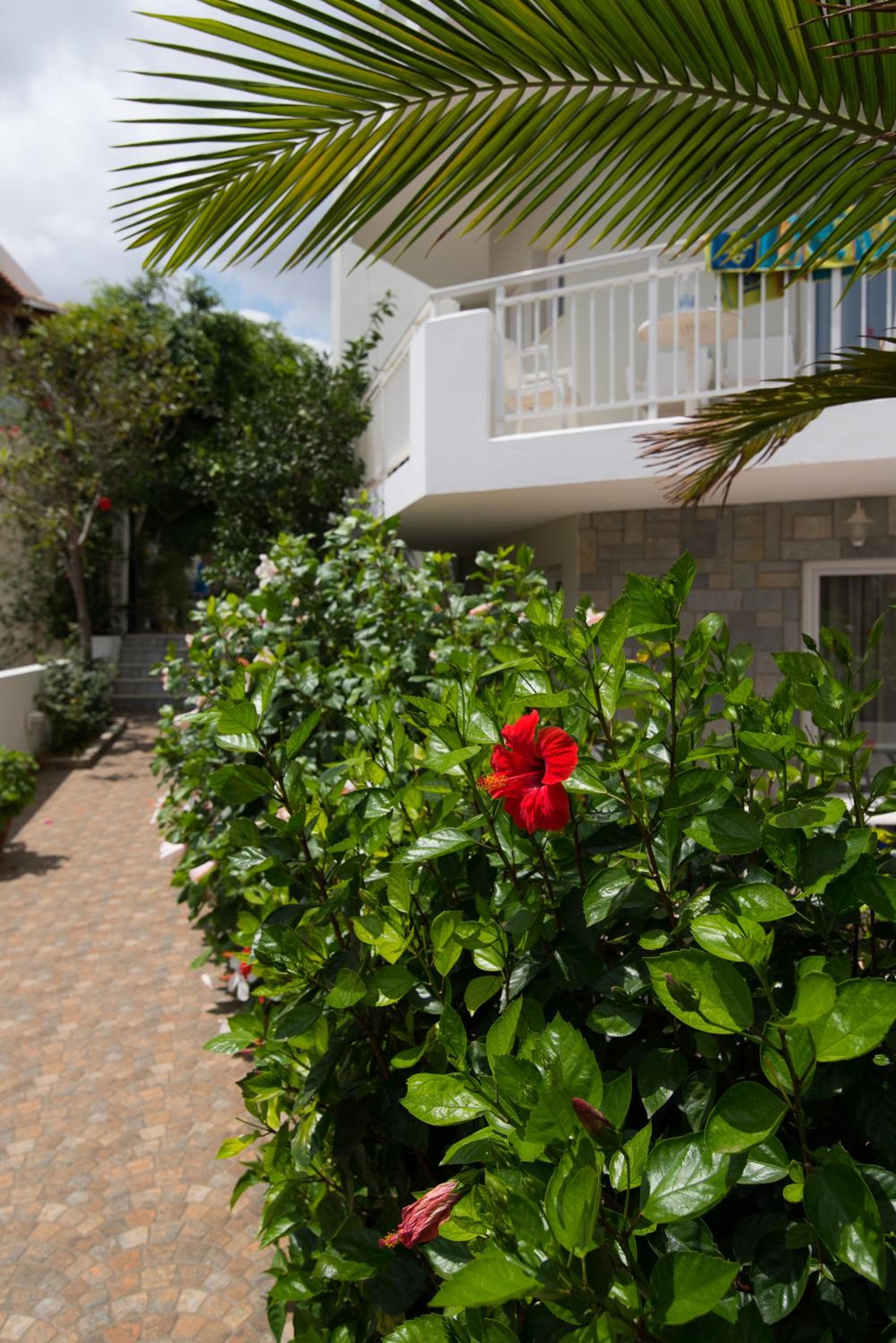 Melissa Apartments, Studios & Suites, Malia