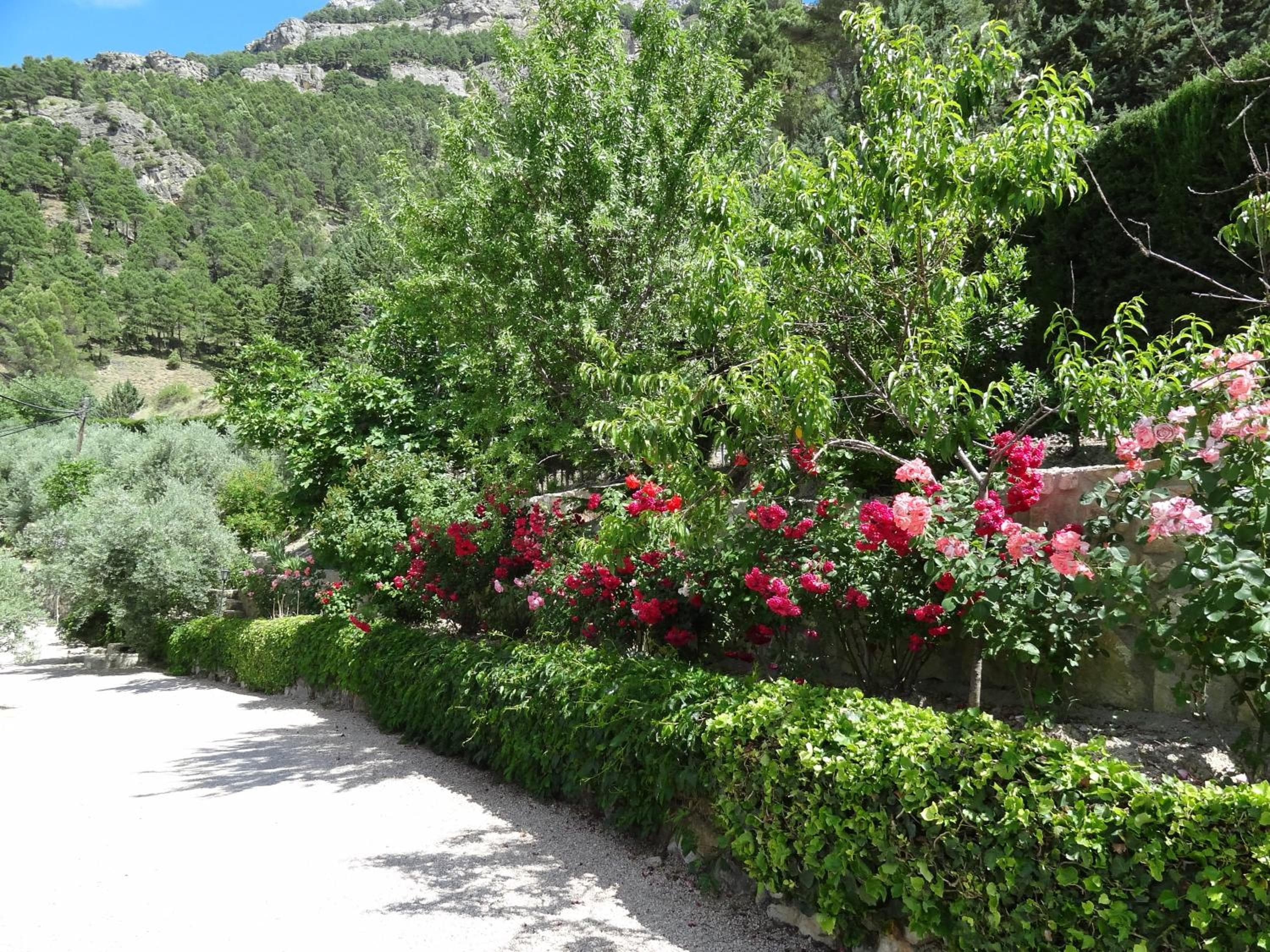 Apartamentos Arroyo Parrilla, La Iruela, photo 6