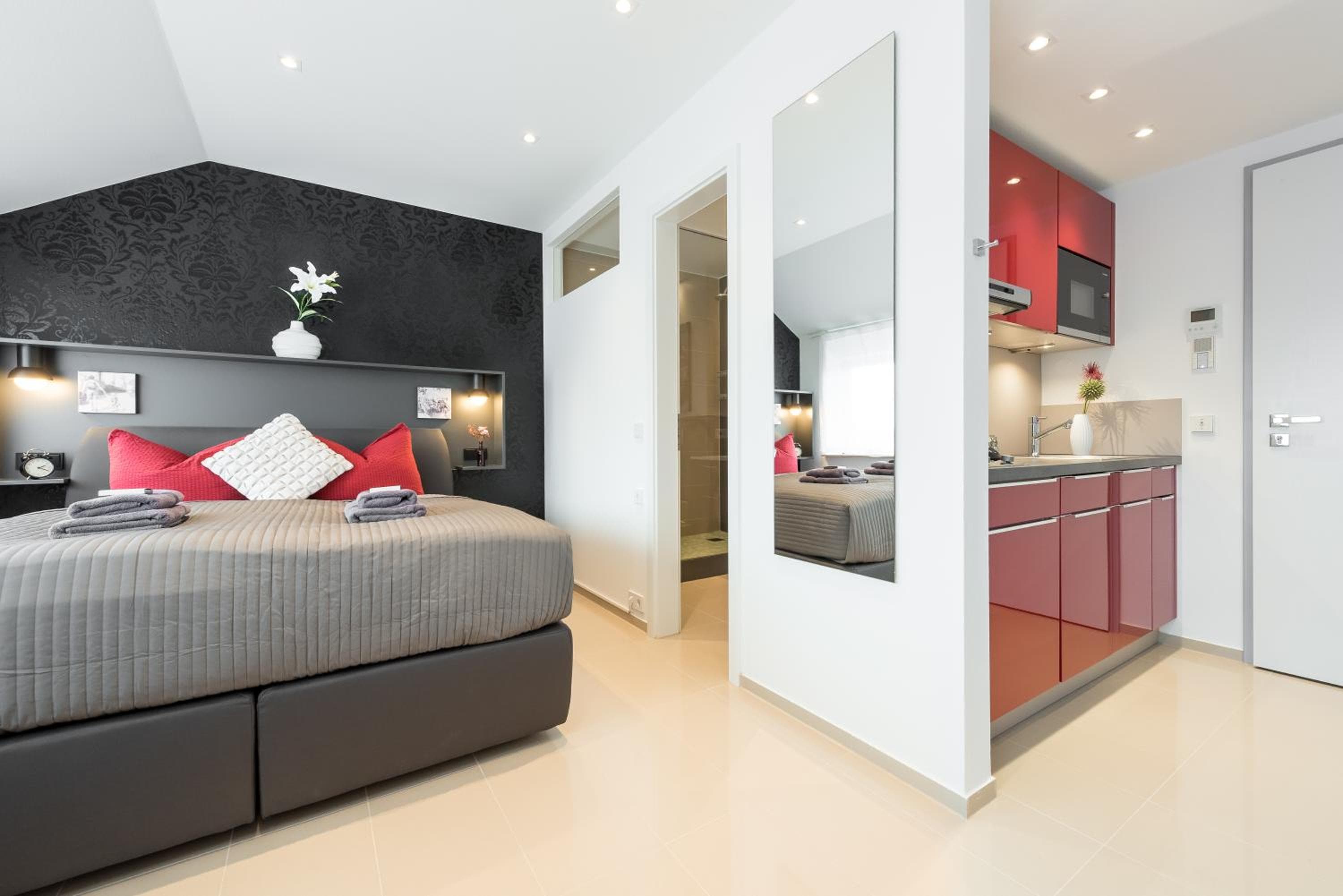Friedrich Boutique-Apartments, Freiburg im Breisgau, photo 6