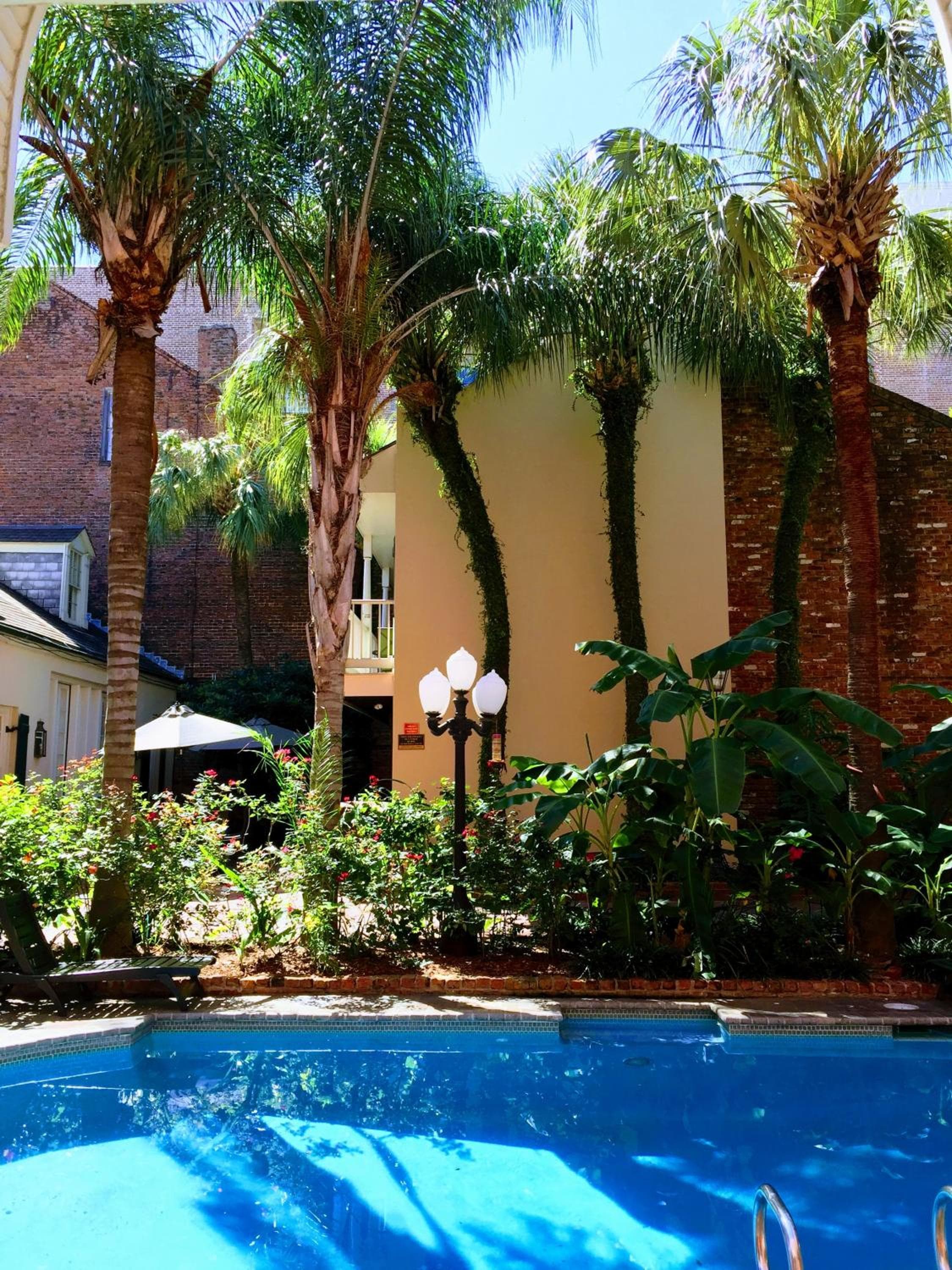 Chateau Orleans, New Orleans, photo 6