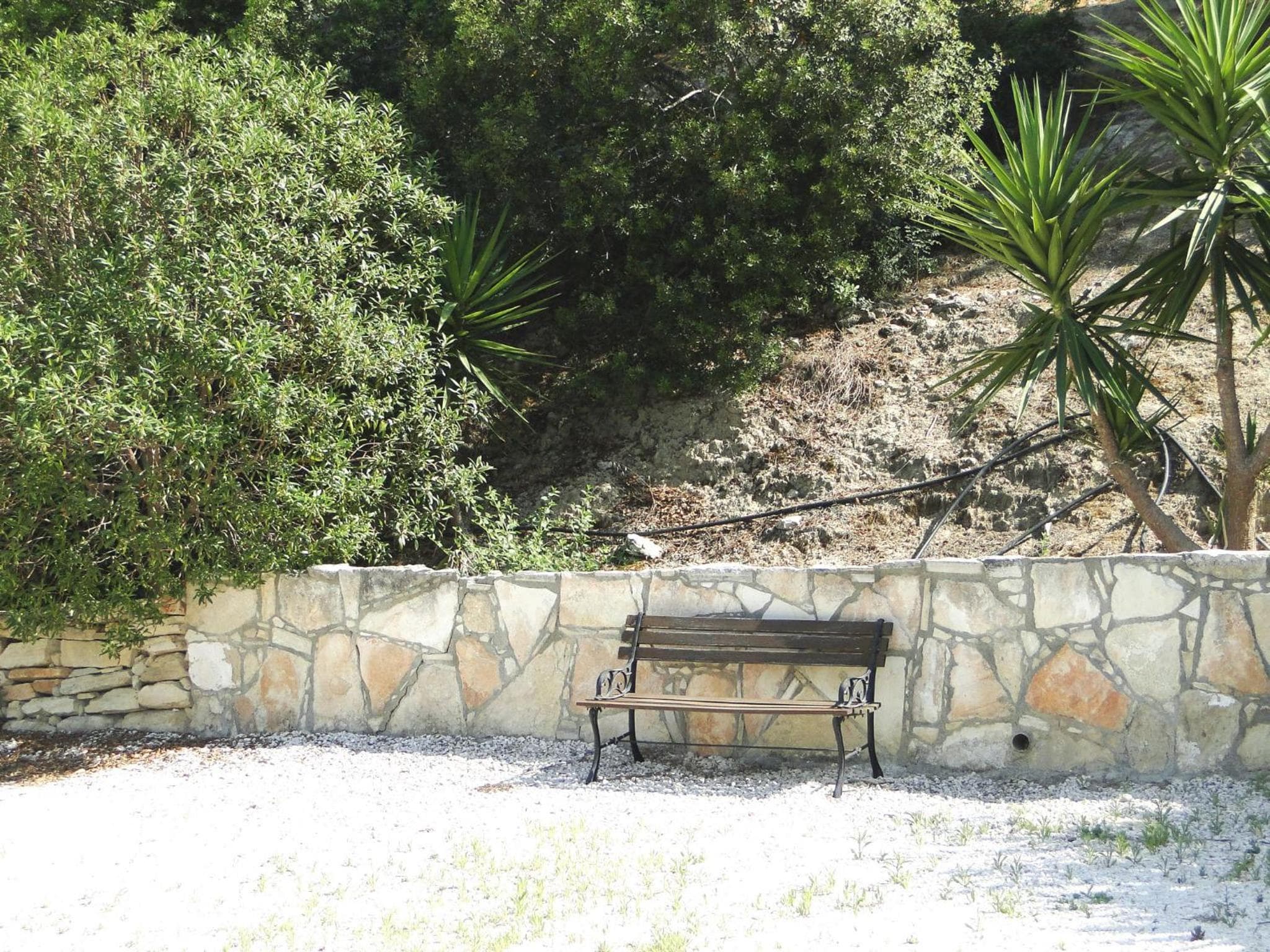 Ampelokipi Holiday Apartments, Pissouri, photo 4