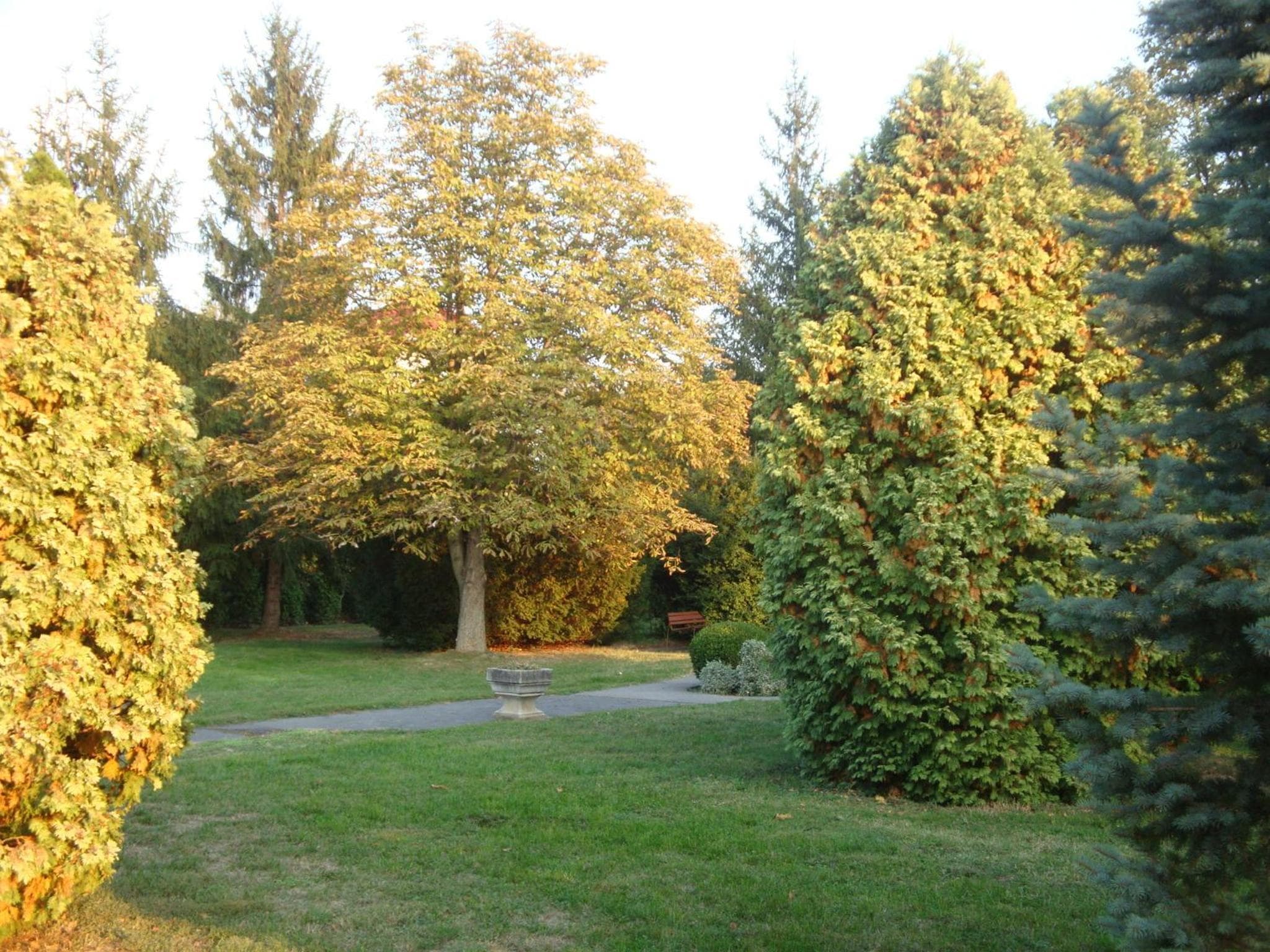 Hotel Napsugar, Hévíz, photo 6