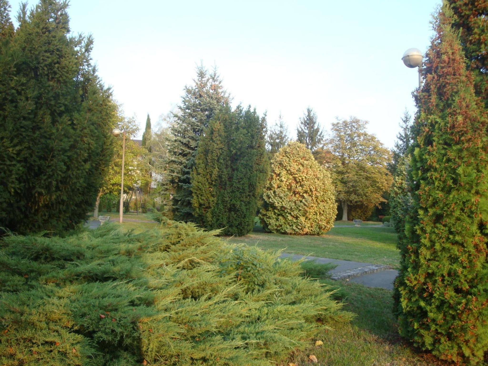 Hotel Napsugar, Hévíz, photo 2