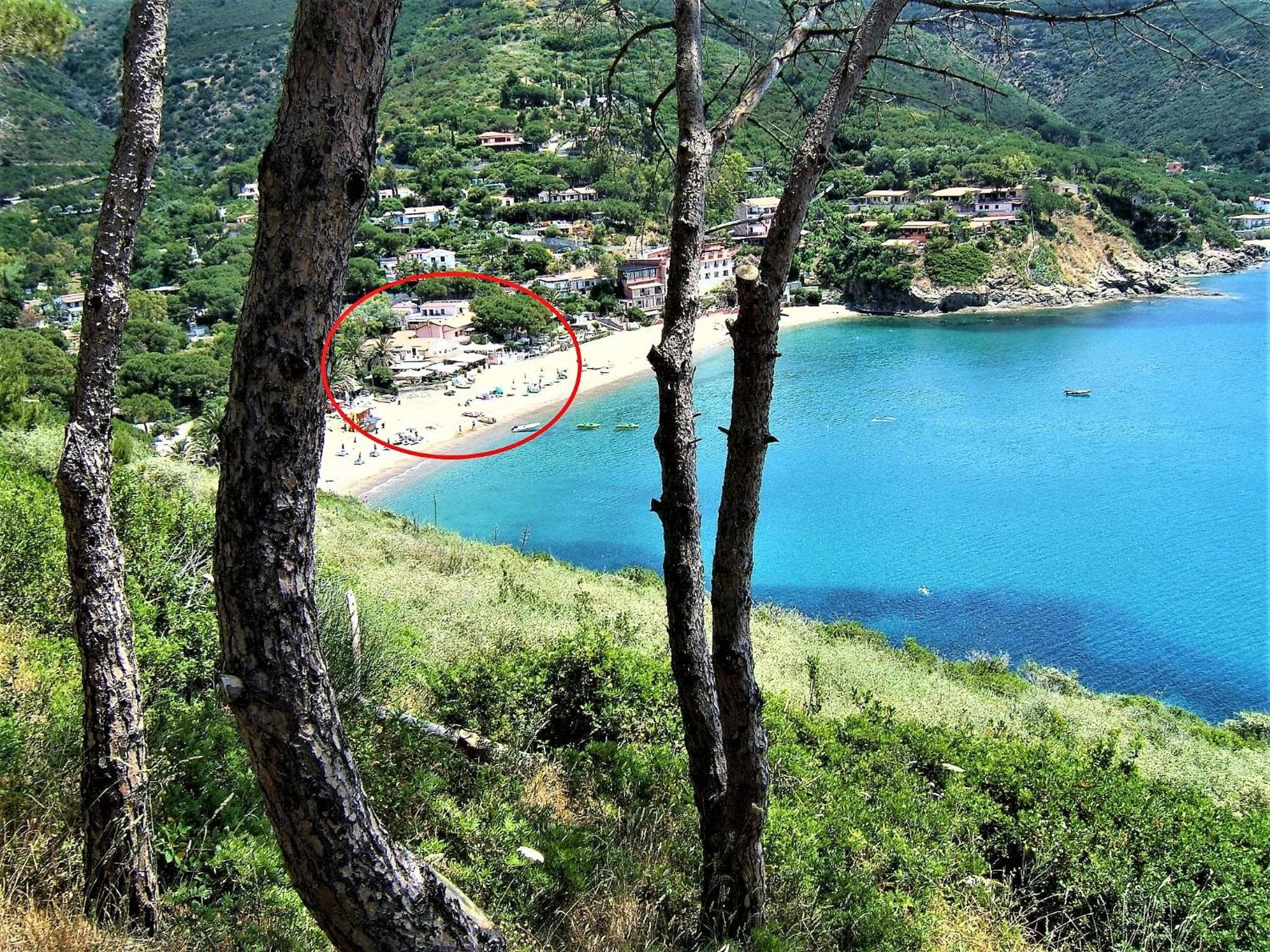 Albatros, Capoliveri