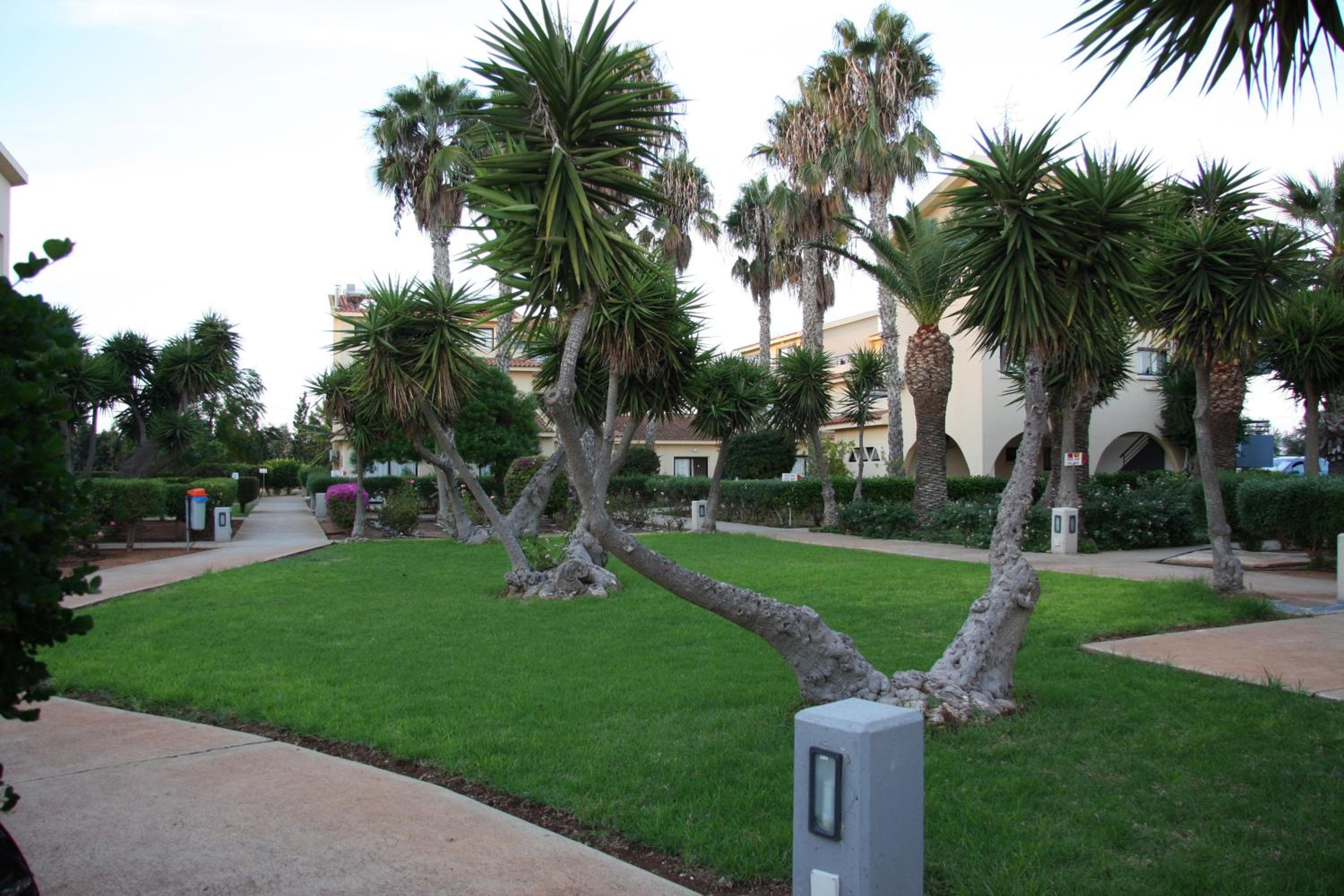 Makronisos Village, Ayia Napa, photo 3