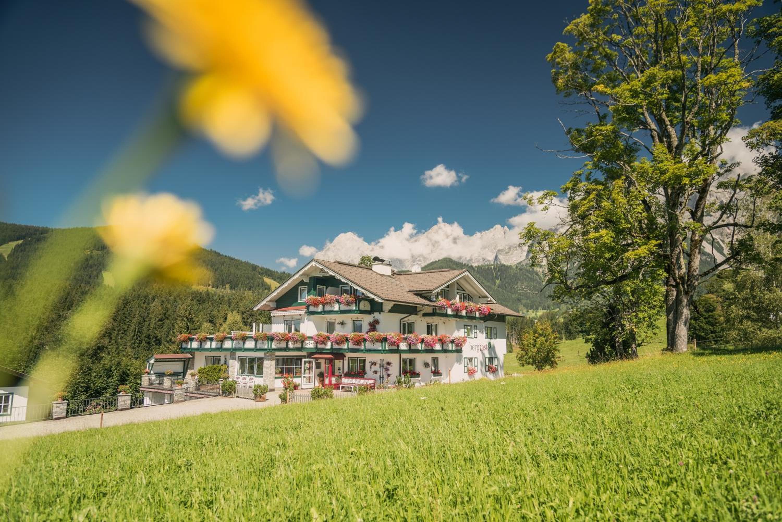 Landhaus Bergrast - charming Countryhouse & Summercard, Ramsau am Dachstein