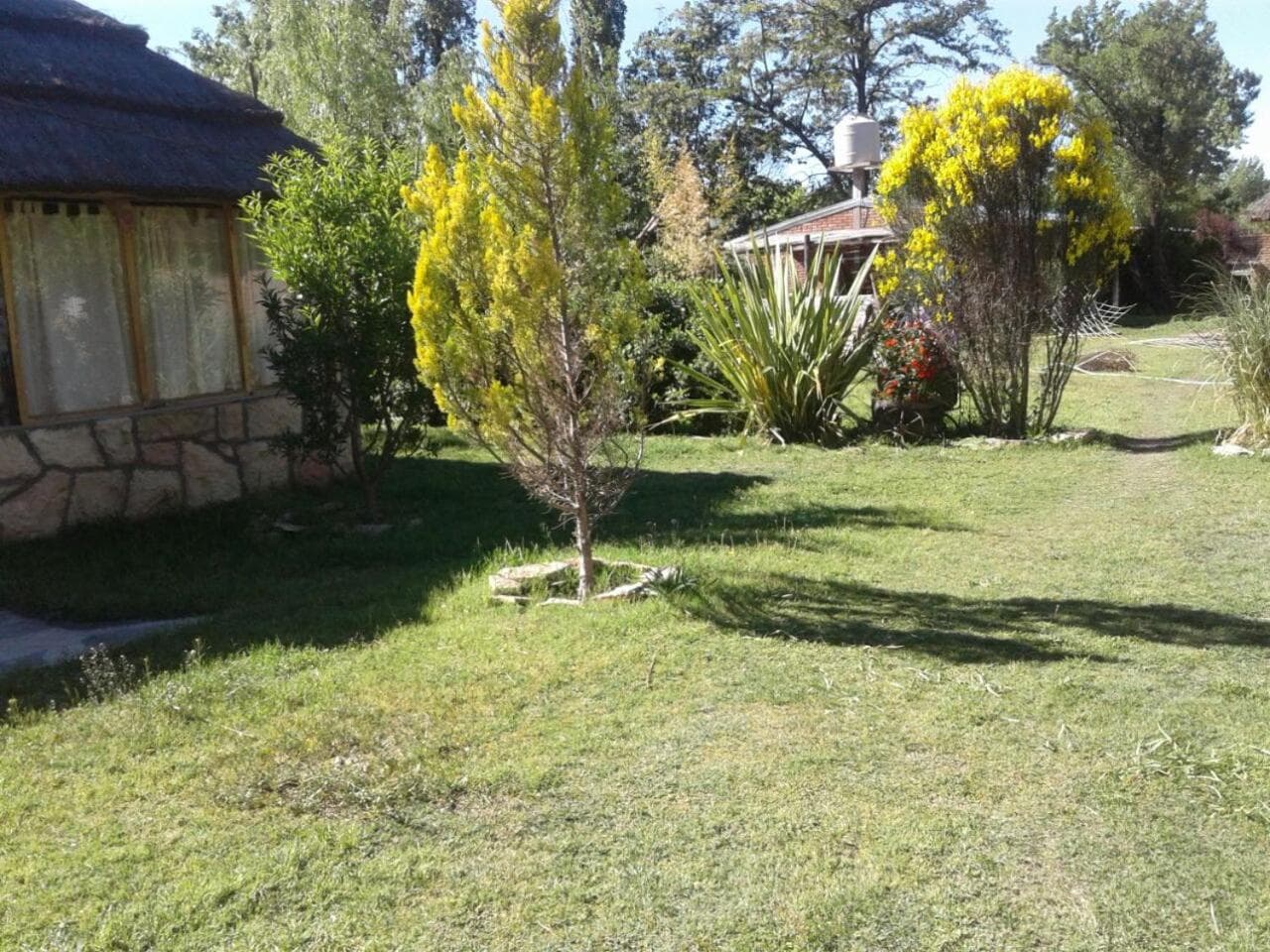 Amanecer en Cuyo, San Rafael, photo 5