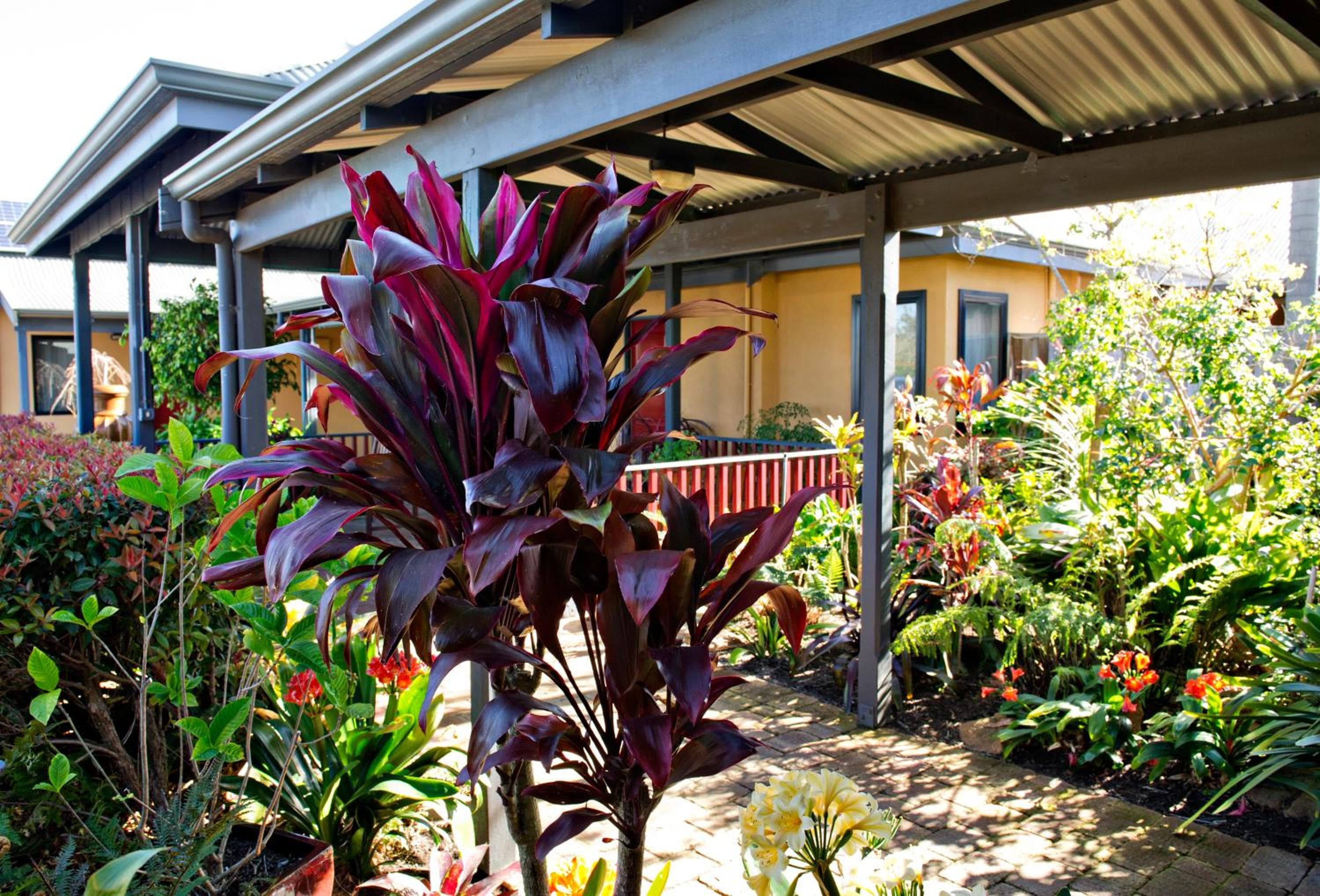 Vintages Accommodation, Margaret River Town, photo 6