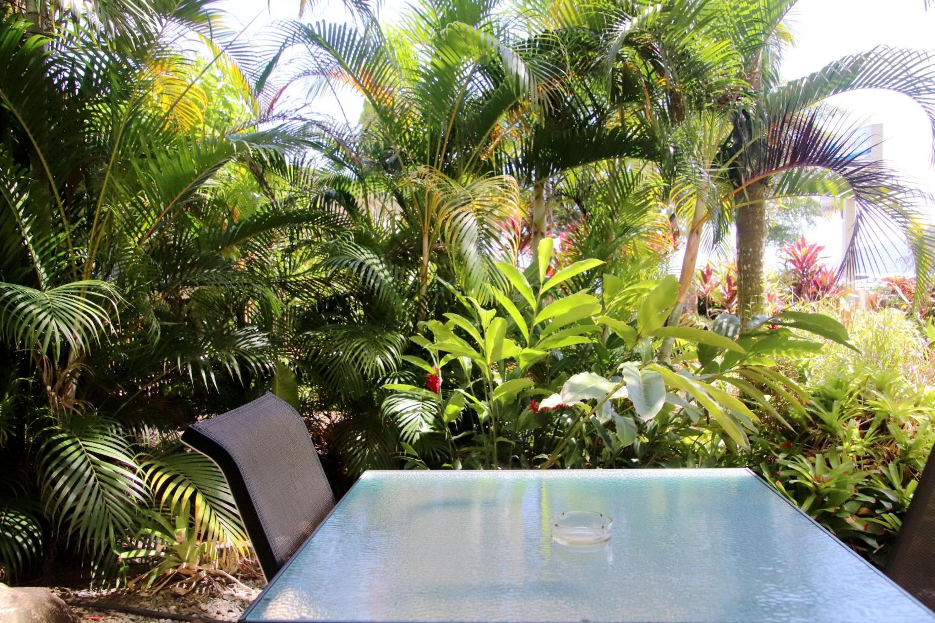181 The Esplanade, photo 3