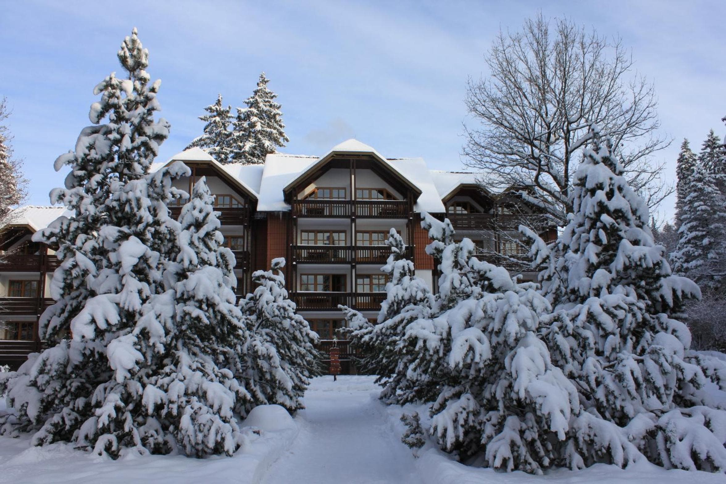 Hapimag Ferienwohnungen Braunlage, photo 4