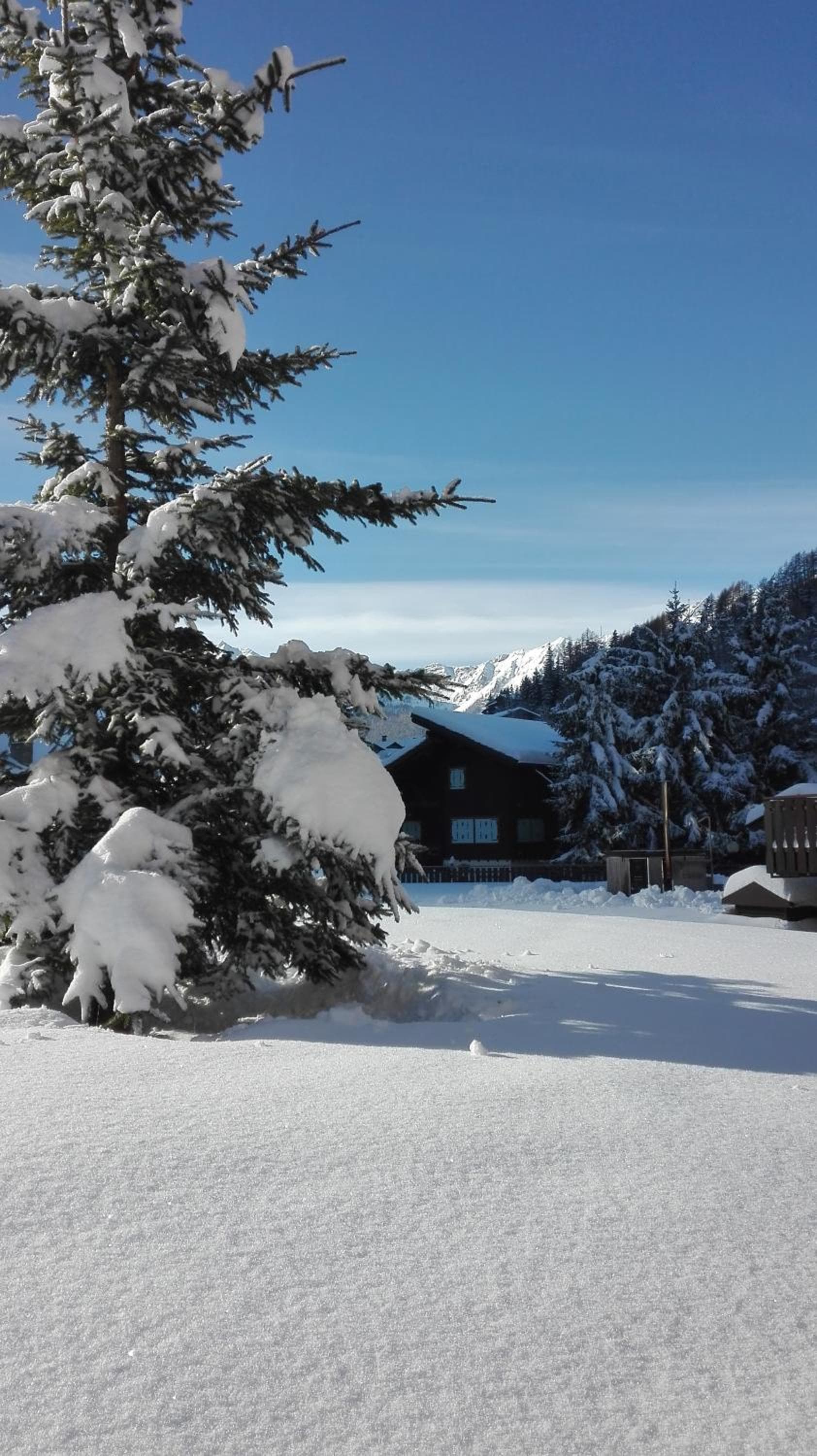 Breithorn Lodge, Champoluc, photo 3