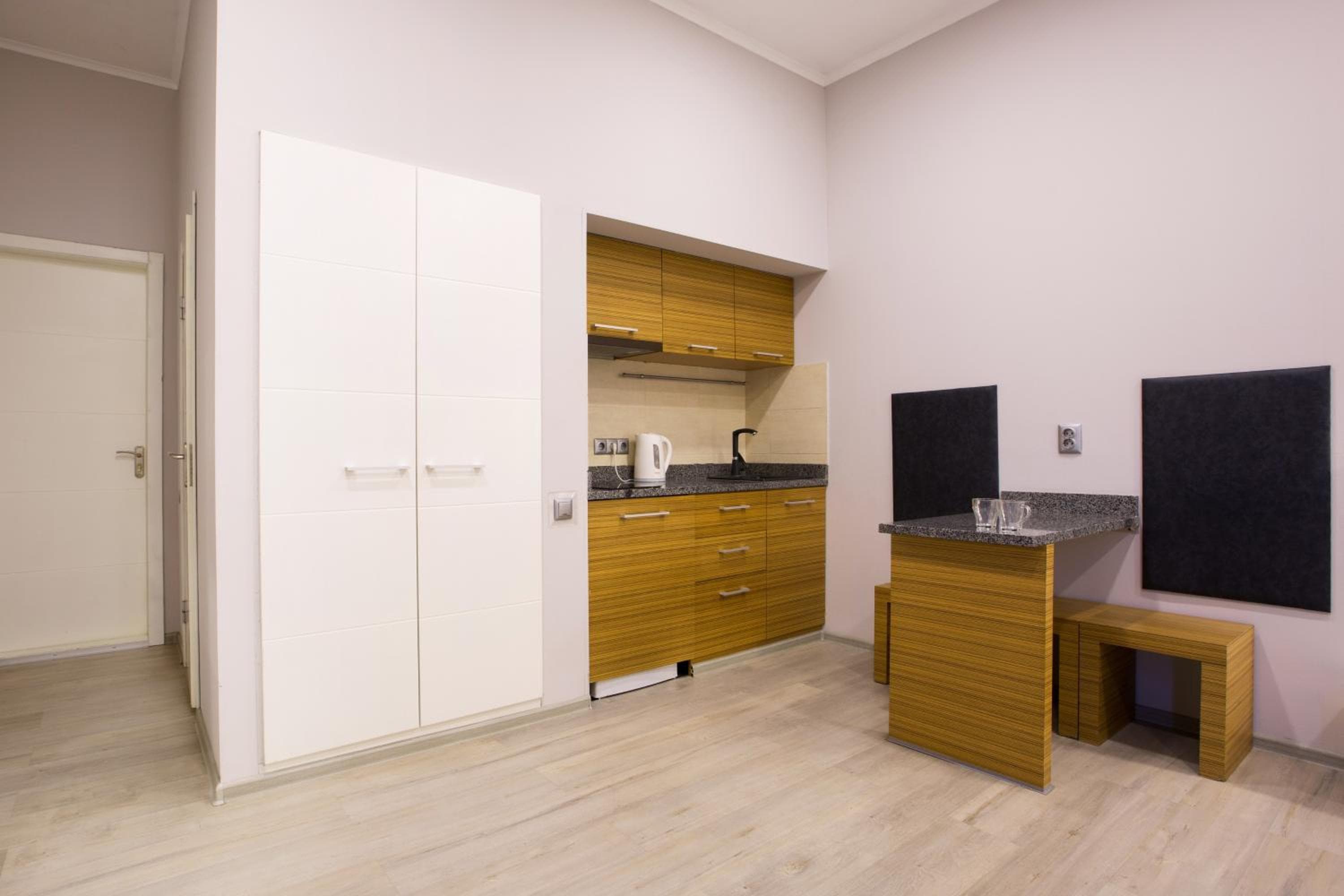 Pushkinskaya Apartments, Kharkiv, photo 2