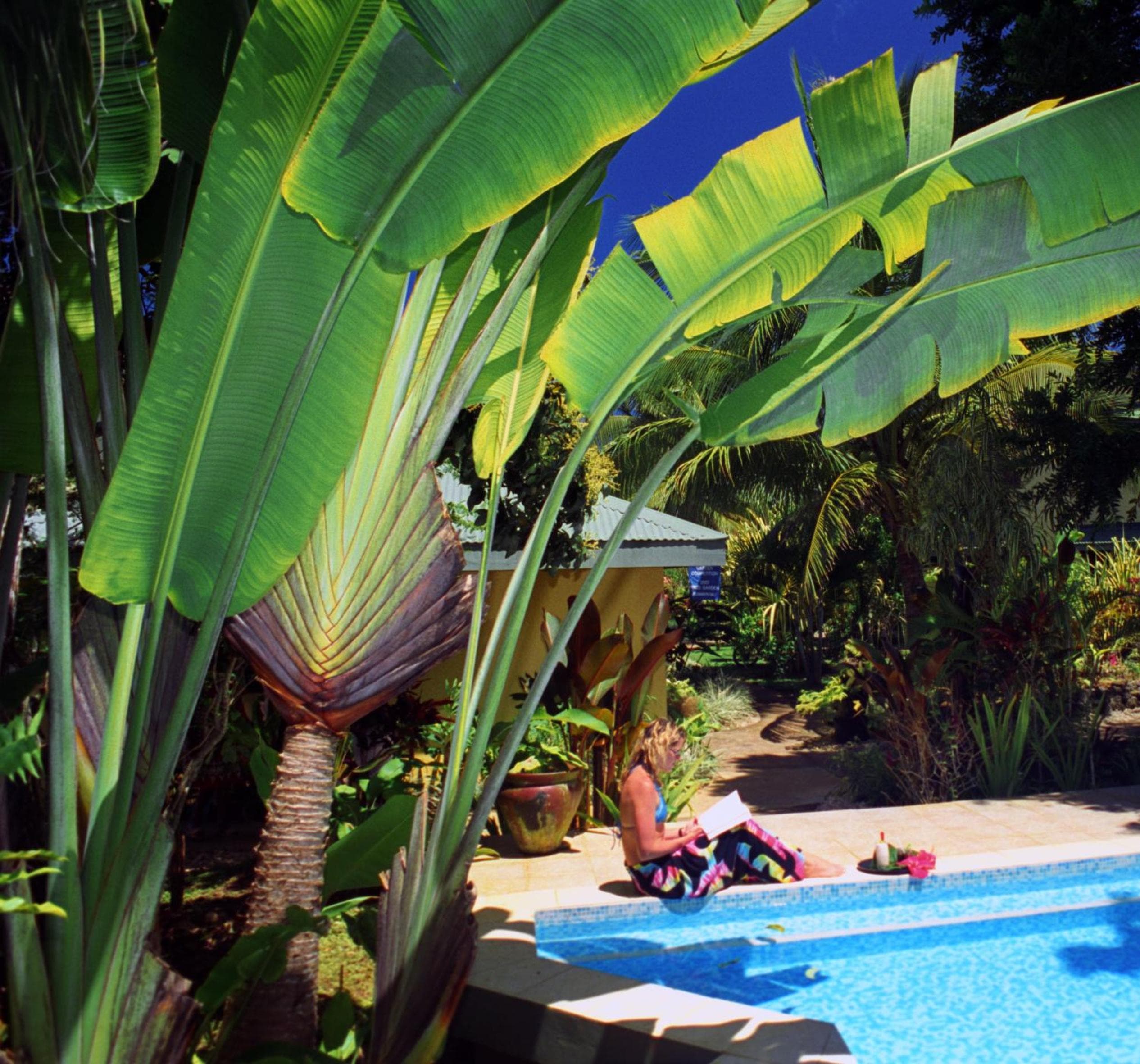 Poppy's on the Lagoon, Port Vila, photo 6