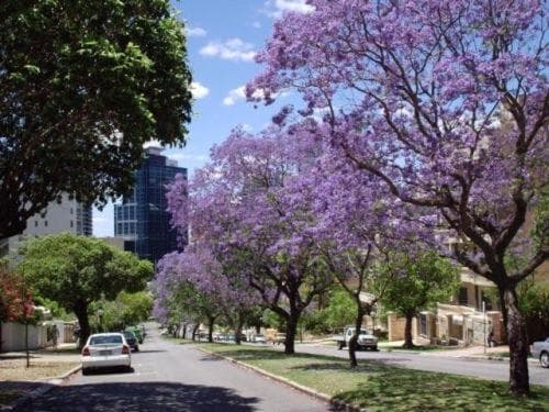 Mountway Holiday Apartments, Perth, photo 5