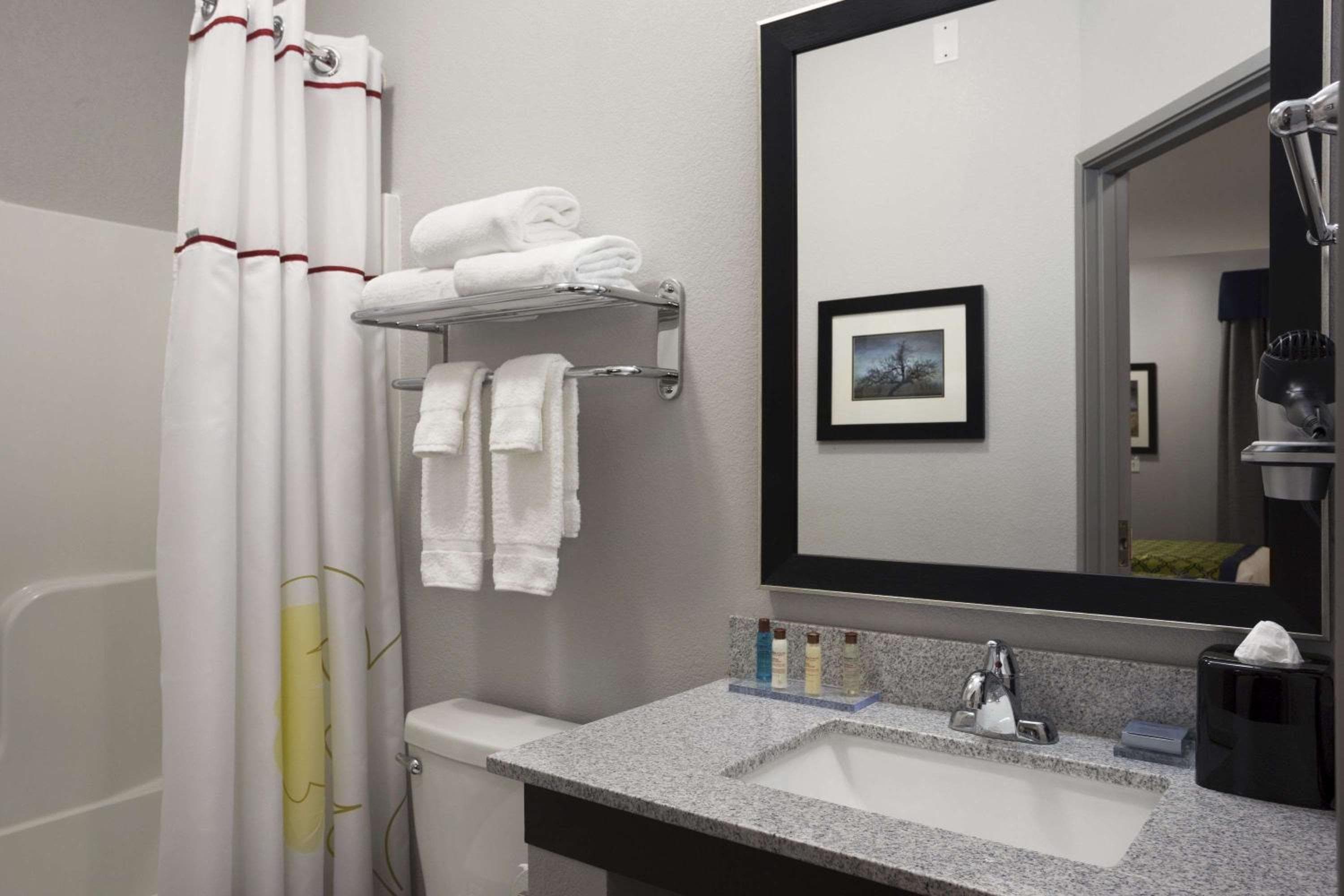 Hawthorn Suites by Wyndham San Angelo, San Angelo, photo 5