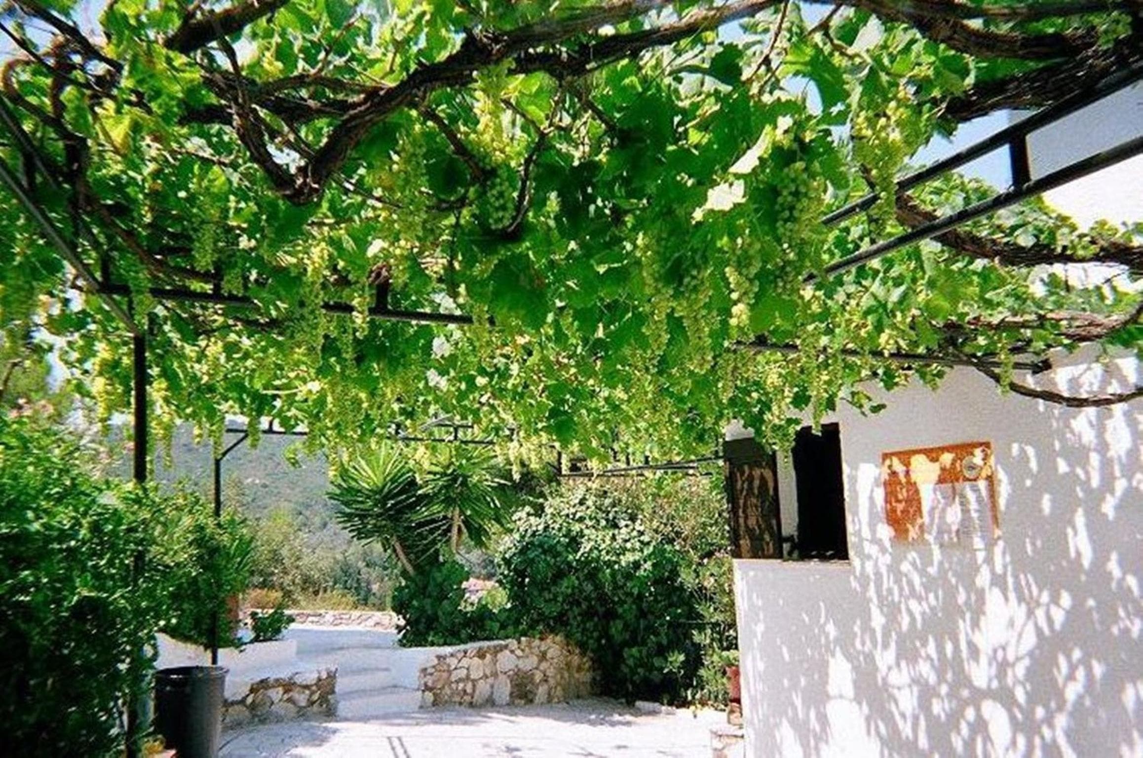 Villa Elpiniki, Troulos, photo 4