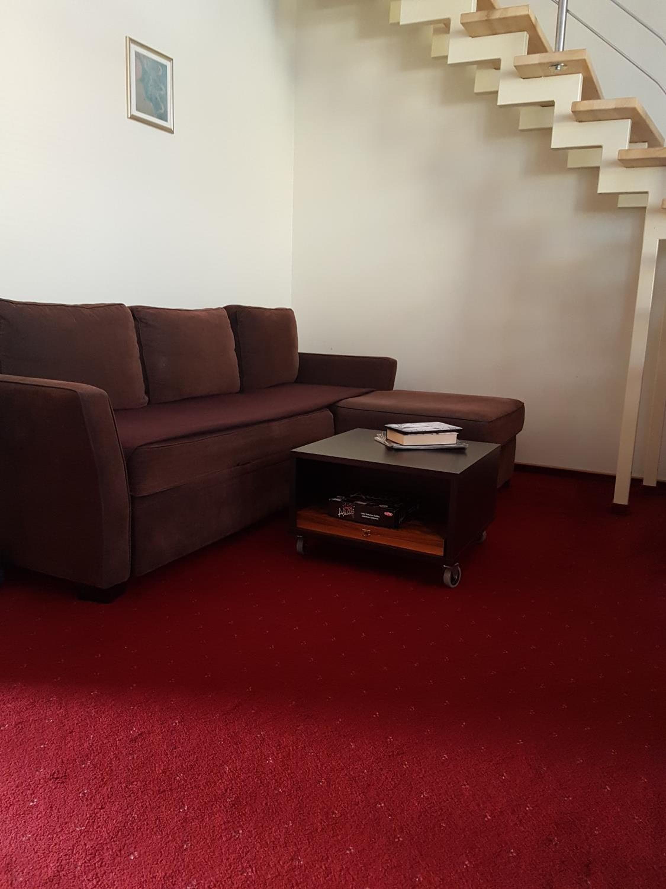 Agneta Apartamentai, Druskininkai, photo 2