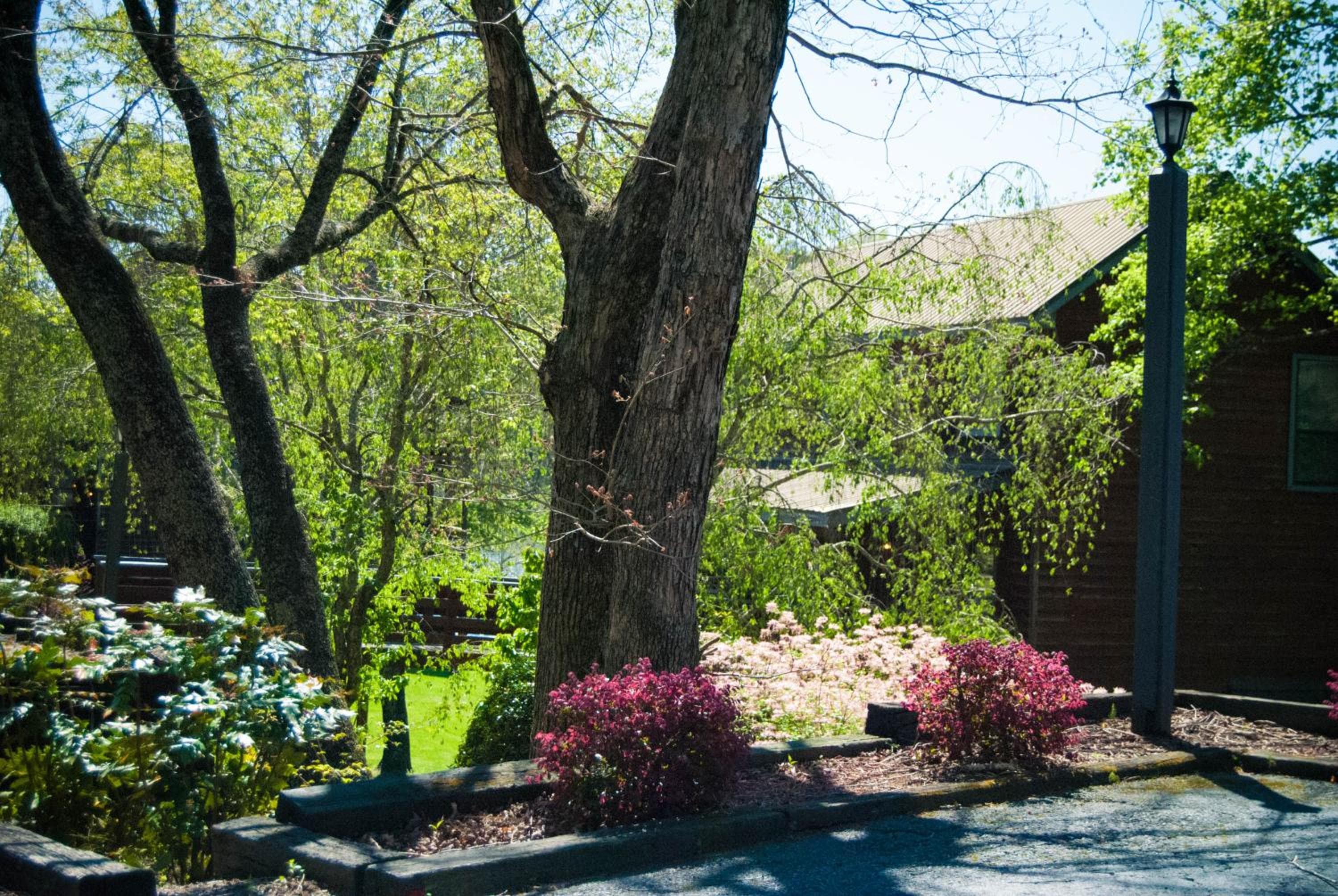 Country Hideaway at Mountain Lakes Resort, Cleveland, photo 4