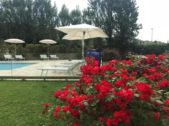 Residence Prunali, Massarosa, photo 6