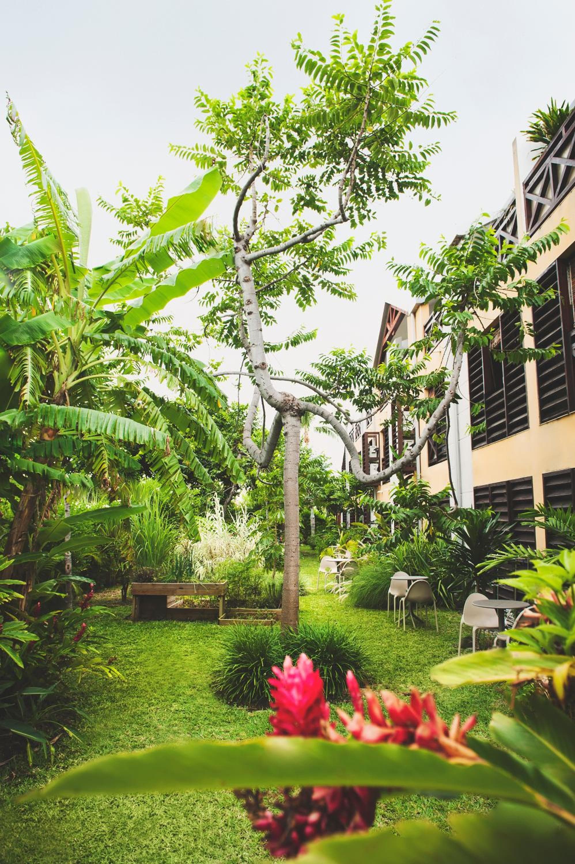 Résidence Tropic Appart Hotel, Saint-Gilles les Bains, photo 2