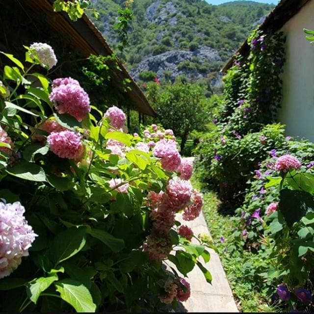 Dolunay Apart Otel, Cıralı, photo 5