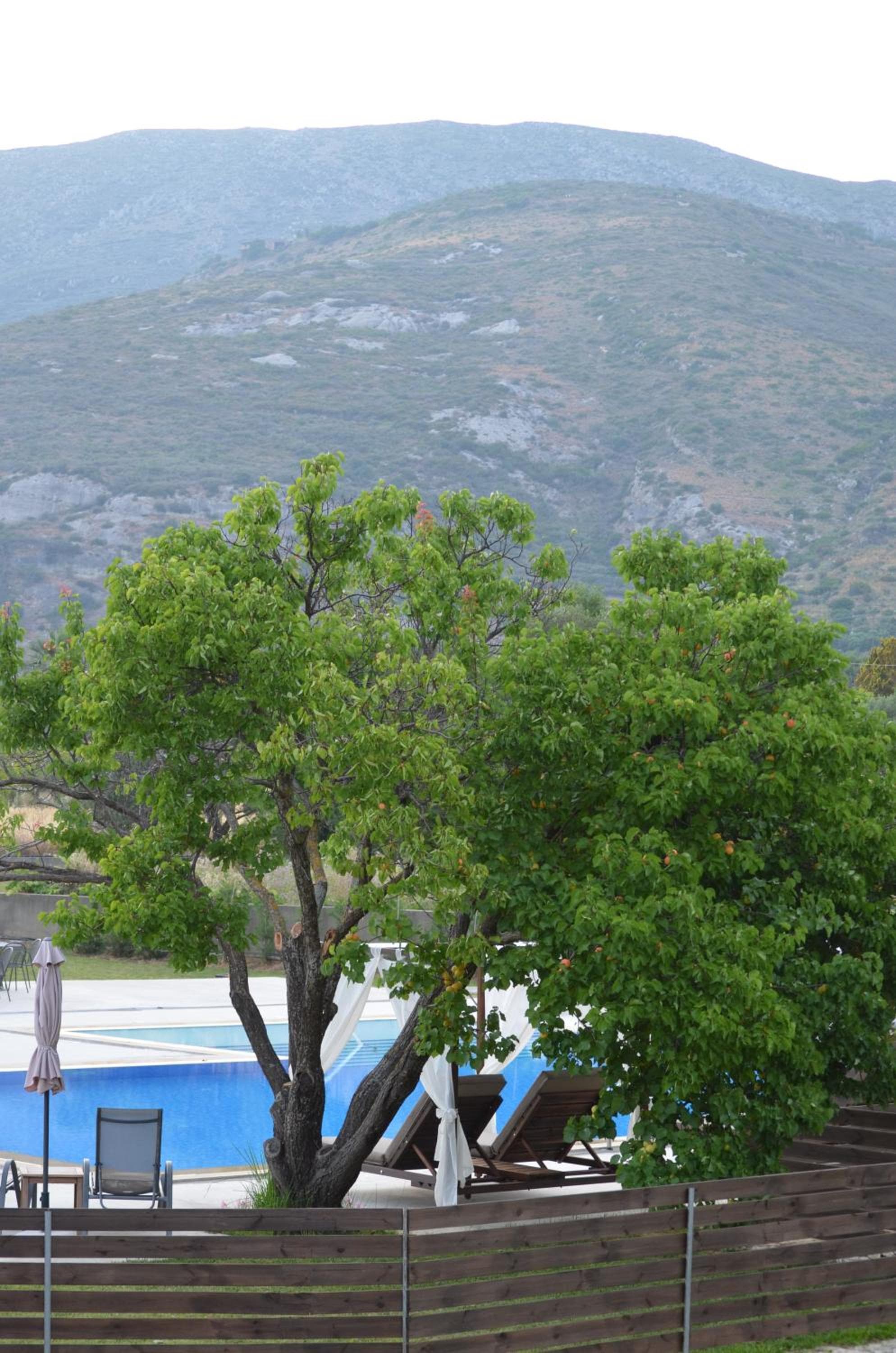 Aligis Studios, Kateliós, photo 6