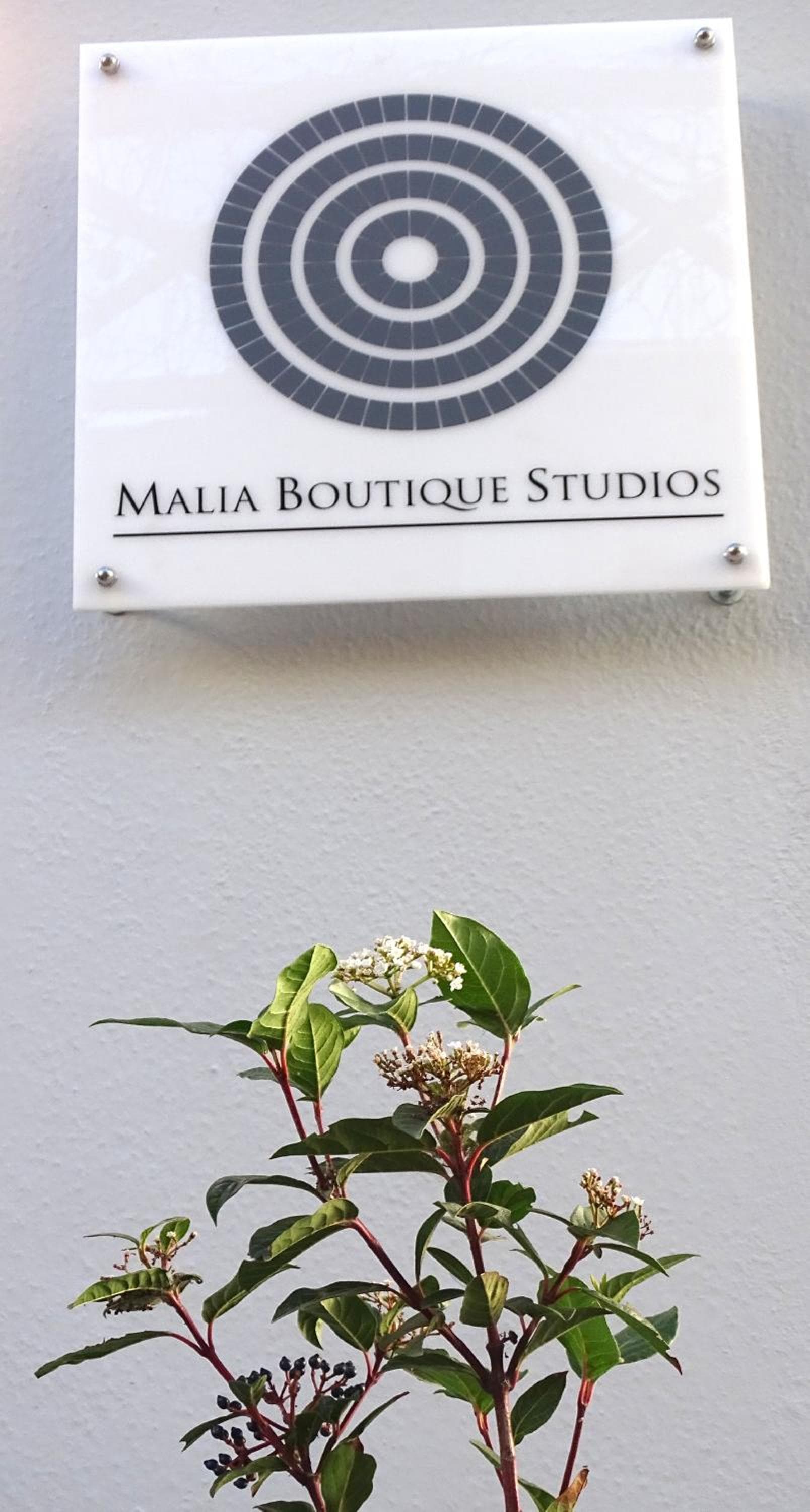Malia Boutique Studios, Malia, photo 3