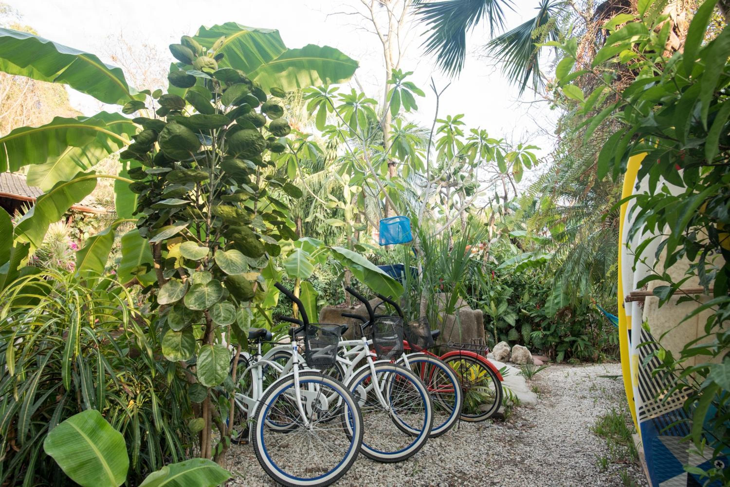 Casas Mal Pais, Mal País, photo 3
