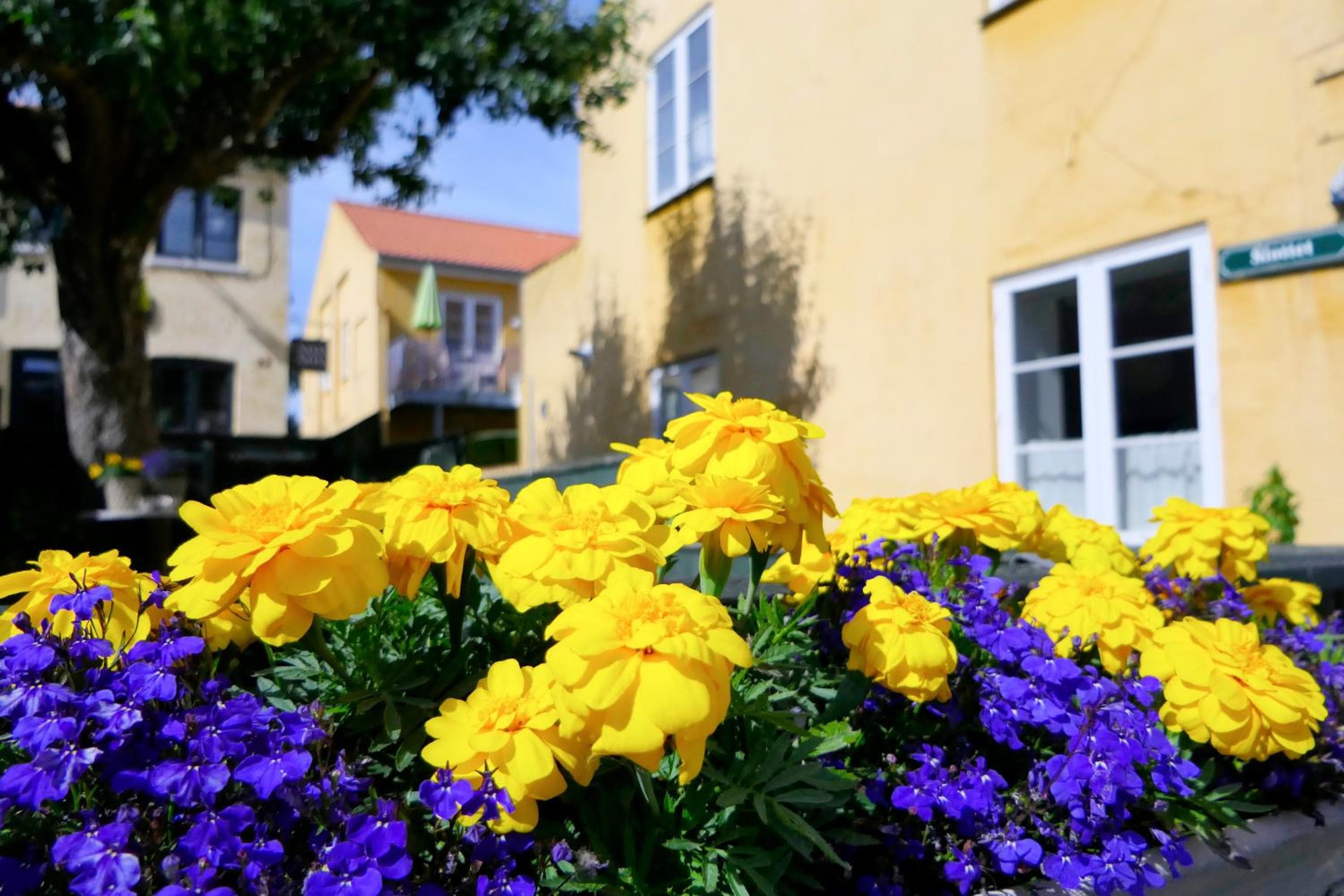 Dragør Hotel & Apartments, Dragør, photo 5