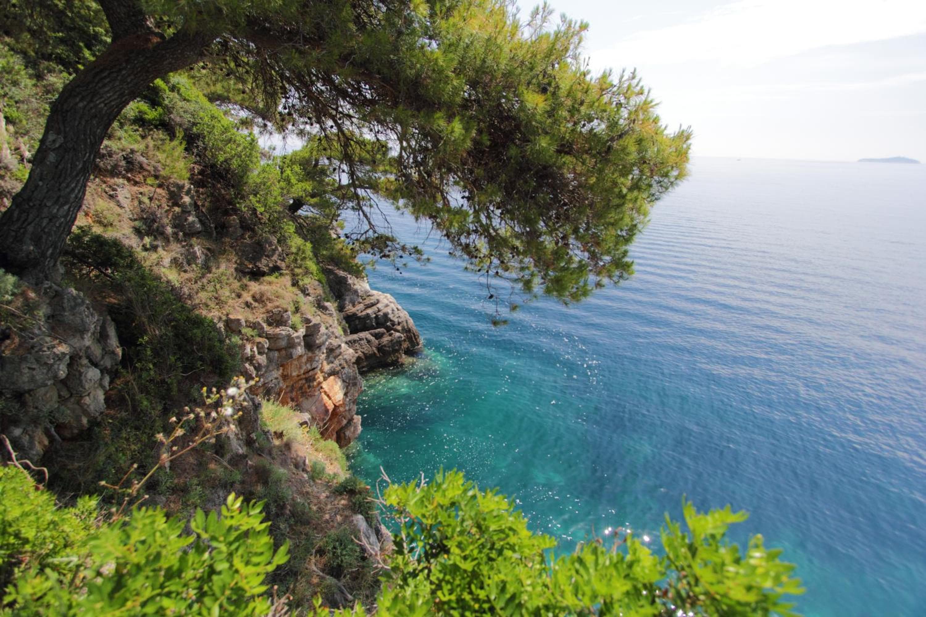 Kalamota Beach House, Koločep, photo 5