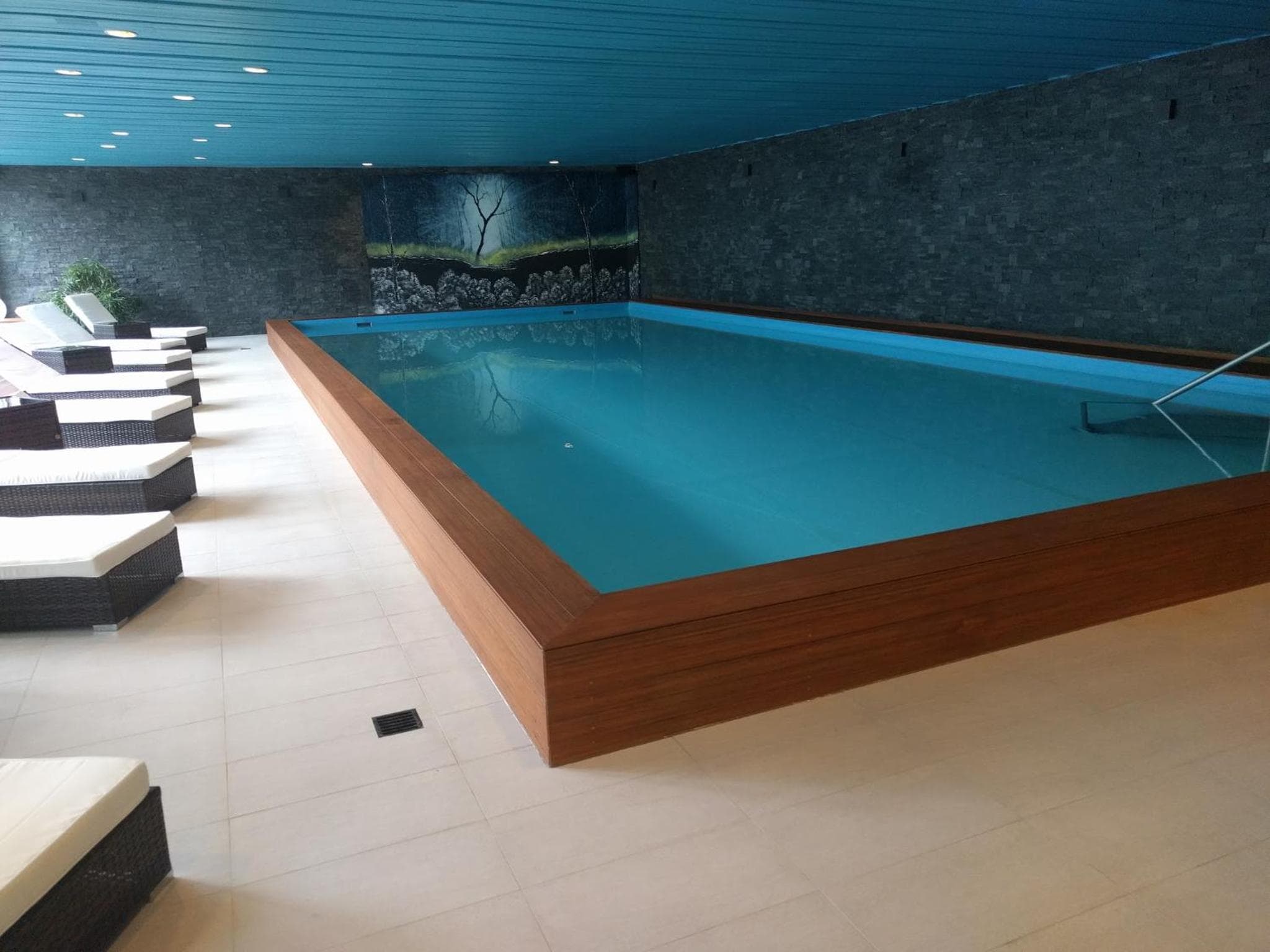 Holiday accommodation - swimming pool available, Davos