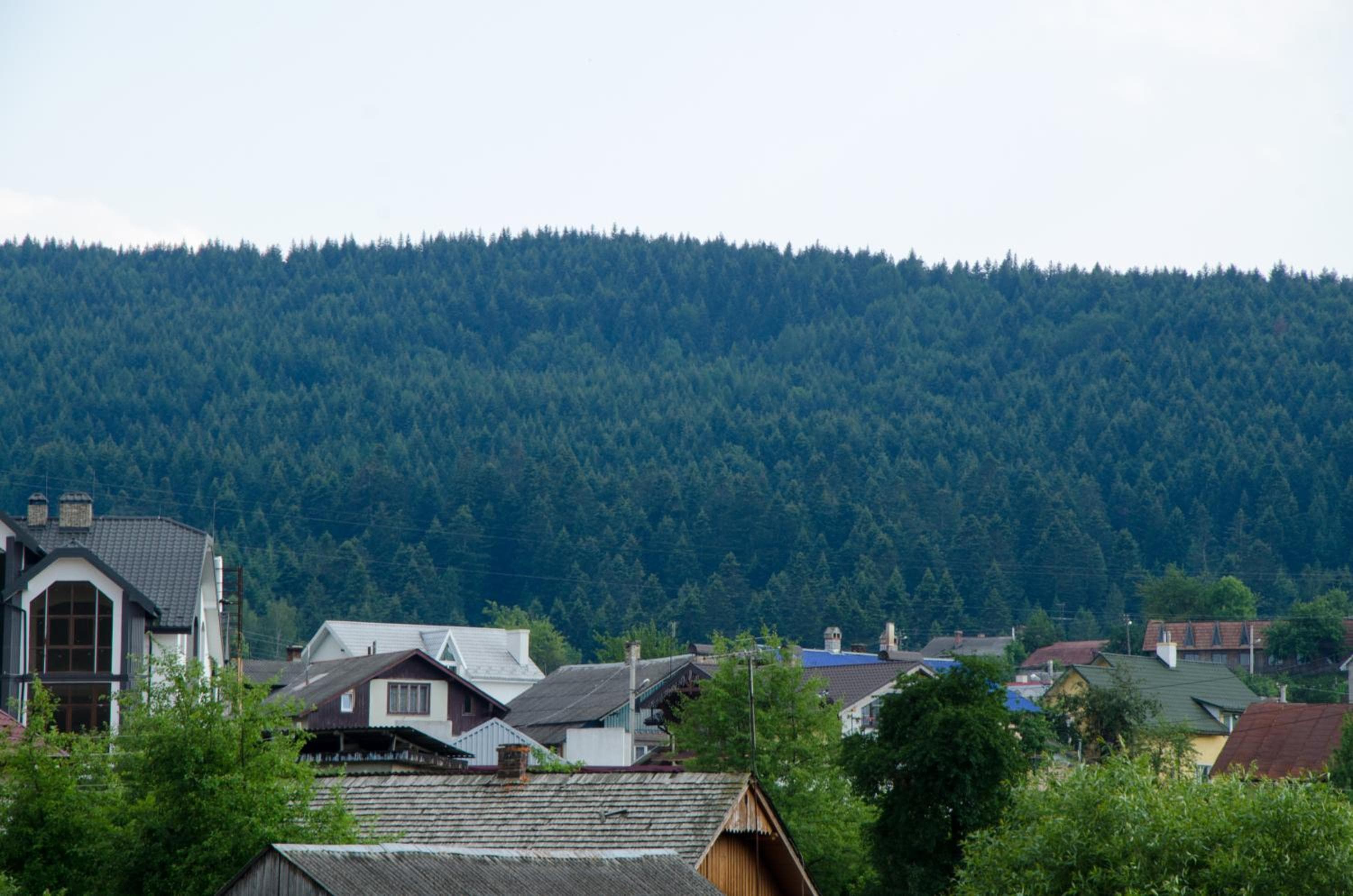 Triumph, Skhidnitsa, photo 5