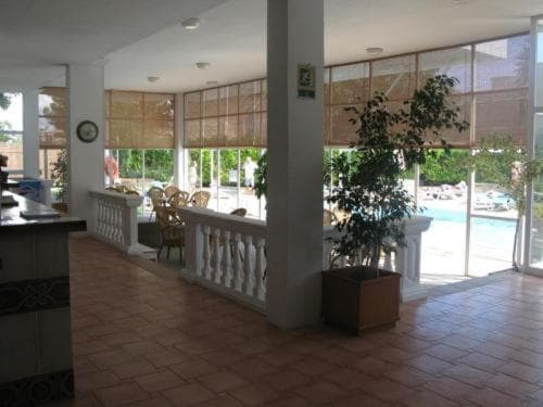 Apartamentos Martha's, Palmanova, photo 6