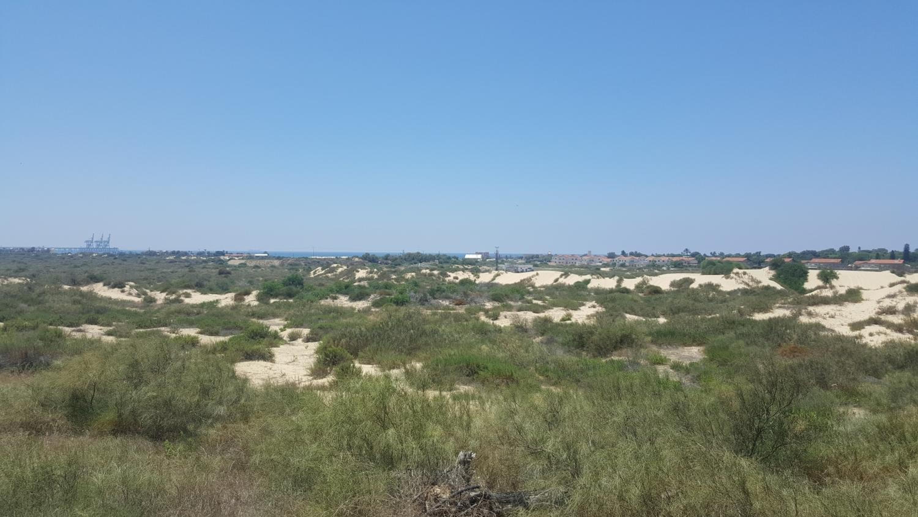 Neot Golf Caesarea Garden Apartment, Caesarea, photo 2