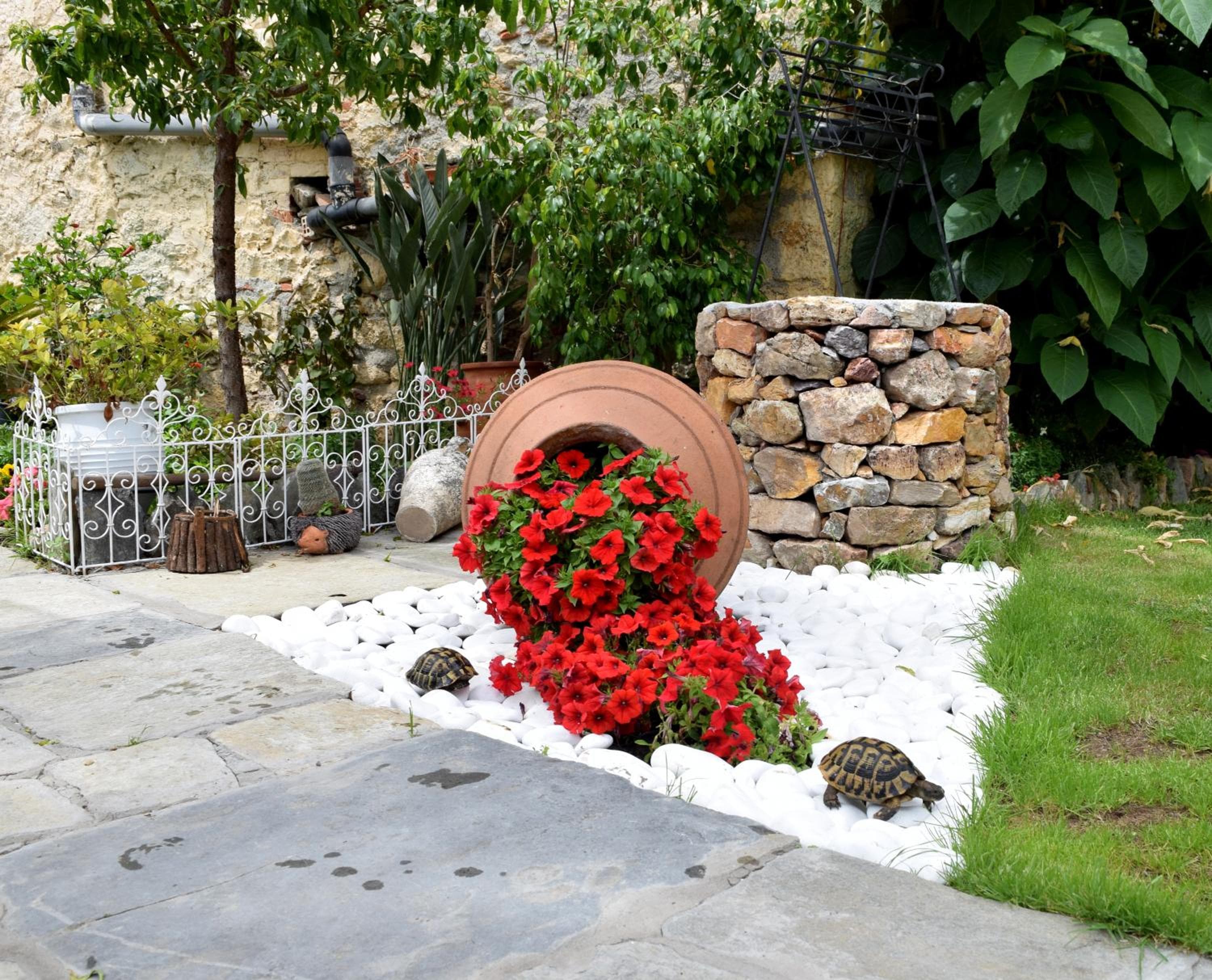 Studios Asteria, Loutra Edipsou, photo 3