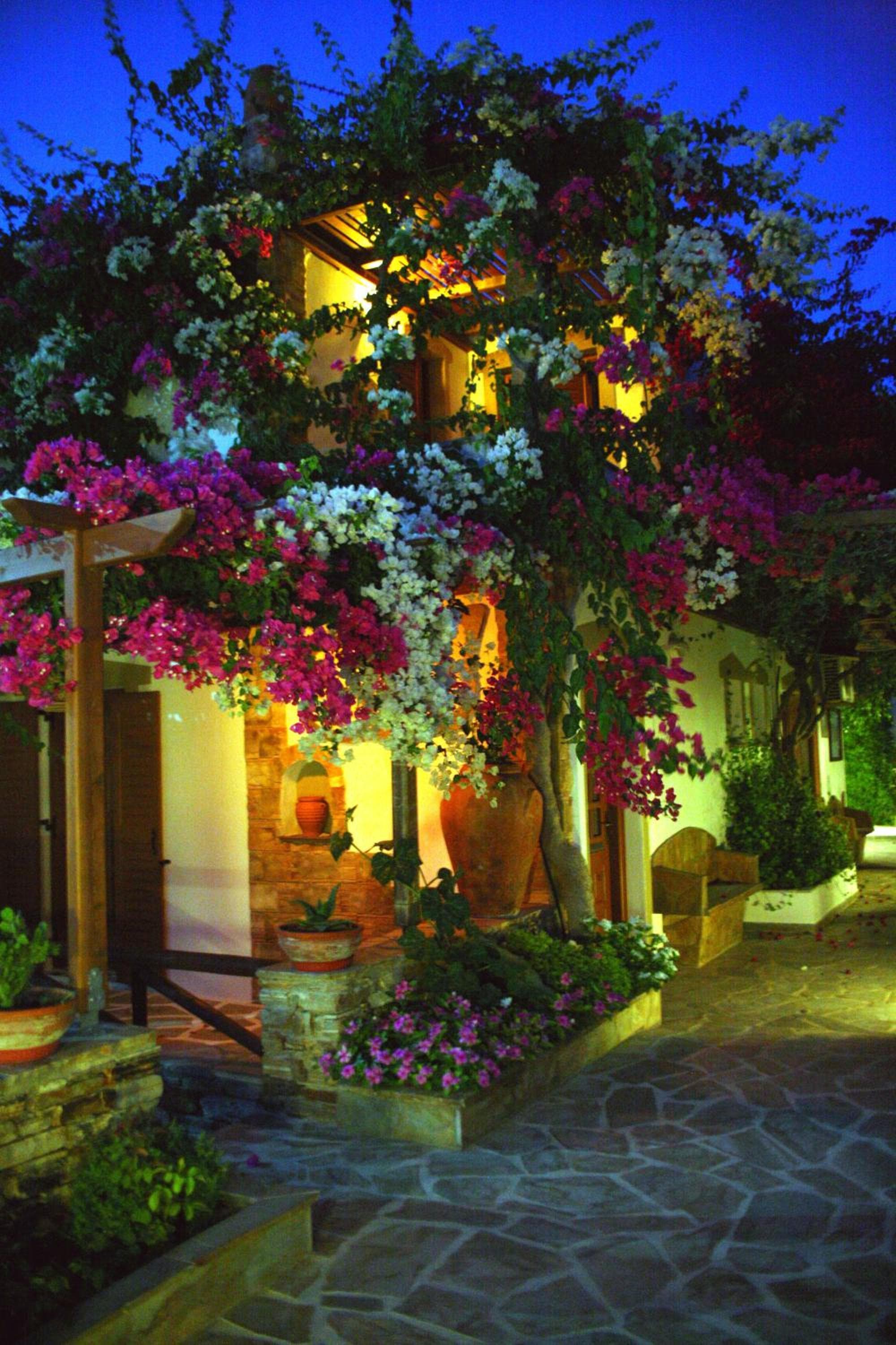 Dimitra Studios, Kastraki Naxou, photo 5