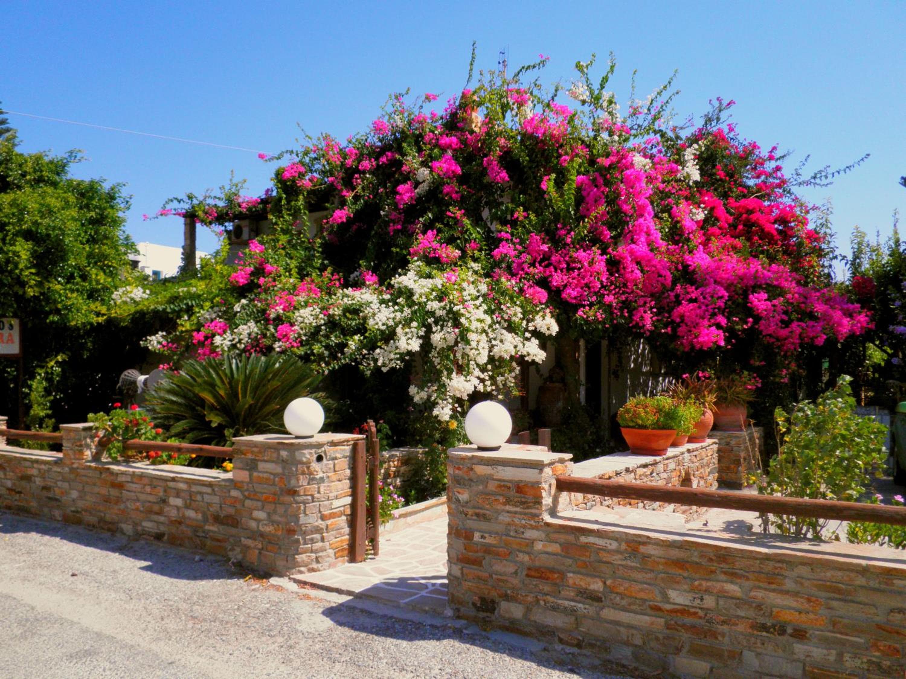 Dimitra Studios, Kastraki Naxou