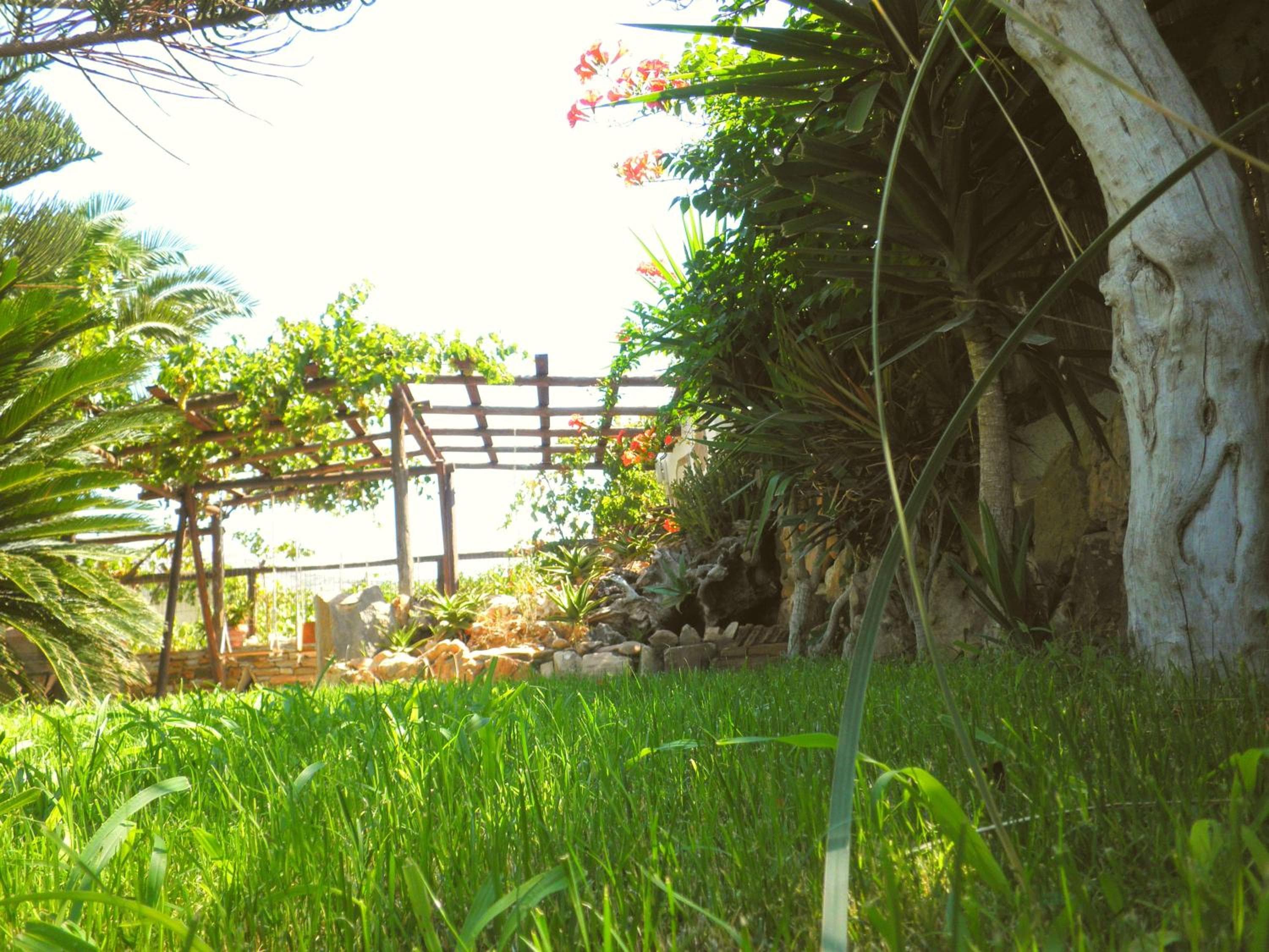 Dimitra Studios, Kastraki Naxou, photo 6
