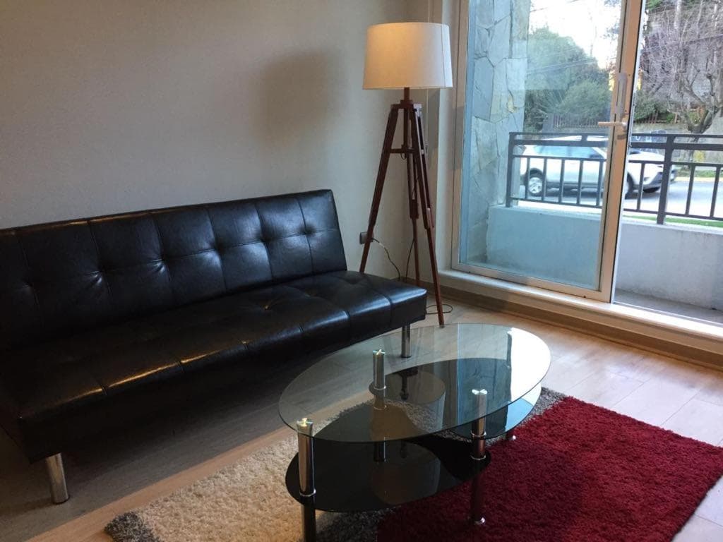 Apart Hotel R&P Depto A, Puerto Varas, photo 4