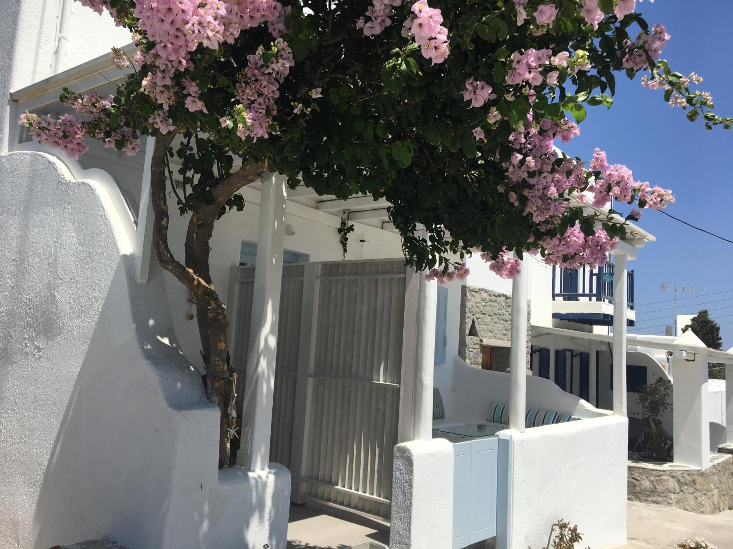 Mina Studios, Platis Yialos Mykonos